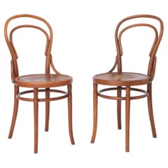 Paire de chaises anciennes en bois courbé Chaises de salle à manger en hêtre autrichien 1930s