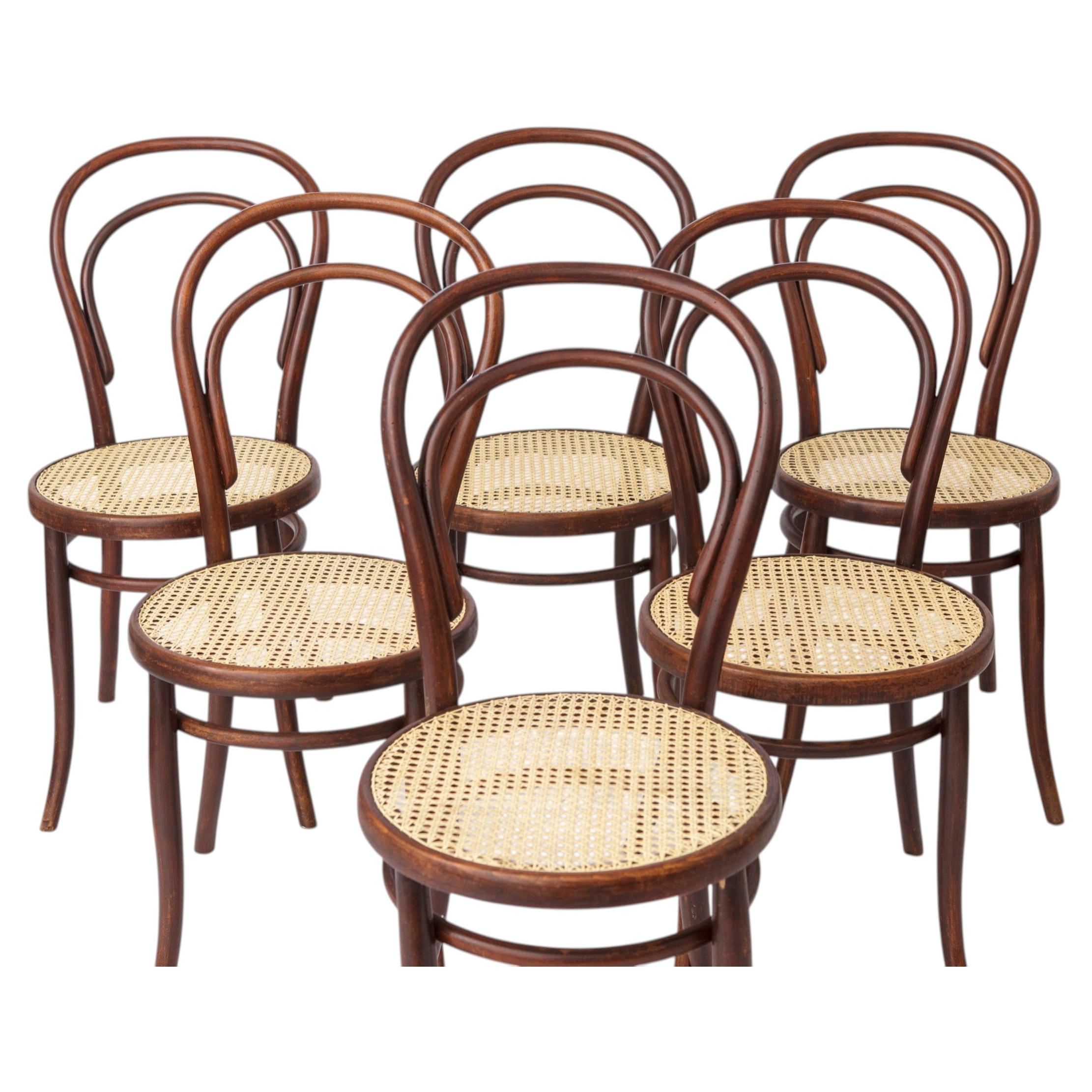 Set of 6 Vintage Austrian Bentwood Dining Chairs, Beech & Rattan Seat 1950s For Sale