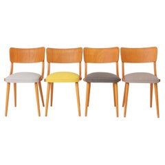 Set of 4 Vintage Bentwood Dining Chairs, 1950s German Mid-Century Beech Chairs