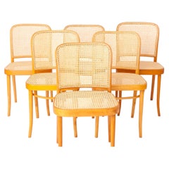Set of 6 Vintage Ligna Bentwood Dining Chairs – Restored Beechwood Frames, 1960s
