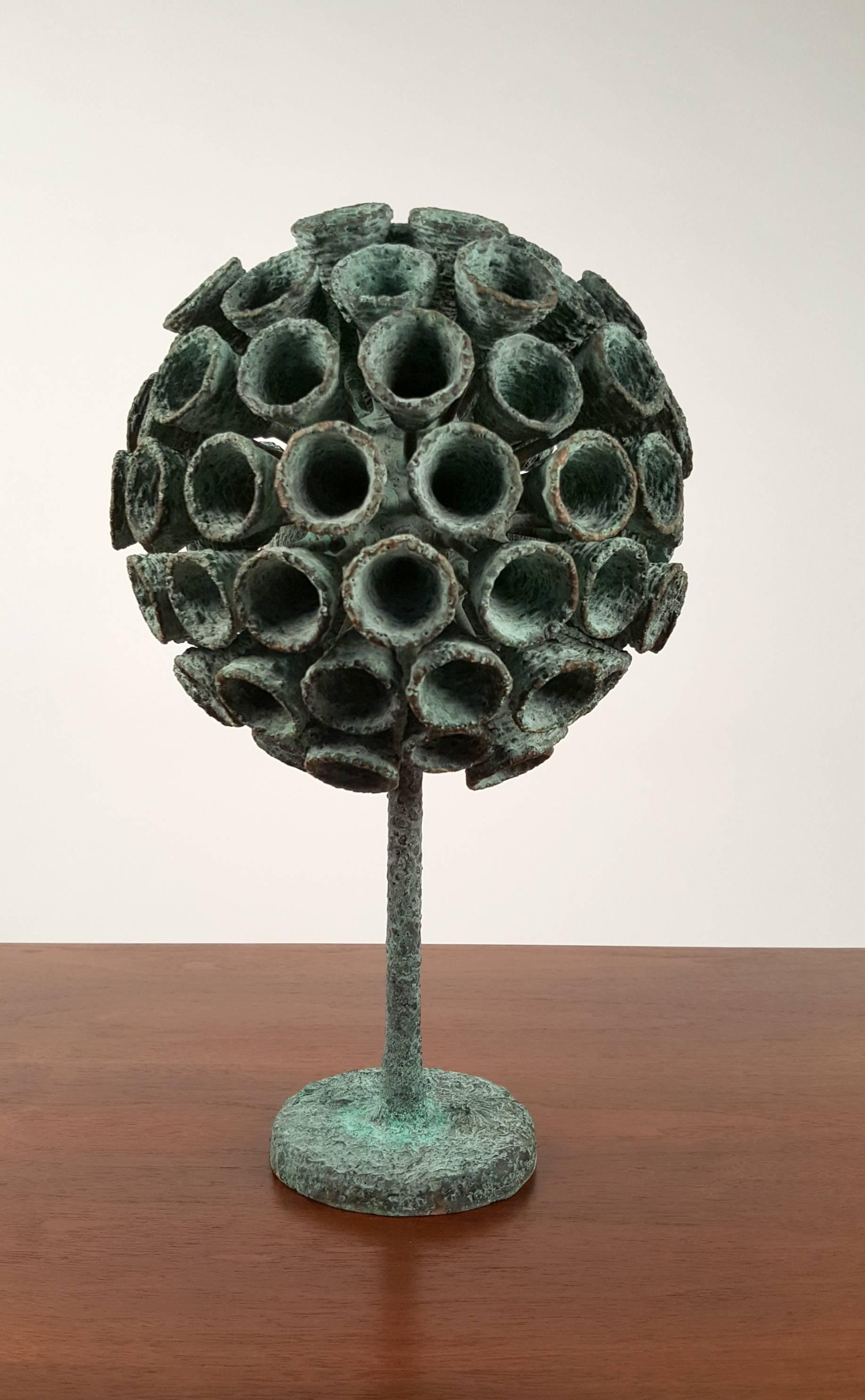 Modern Organic Bronze Blooming Plant Form Sculpture by Douglas Ihlenfeld