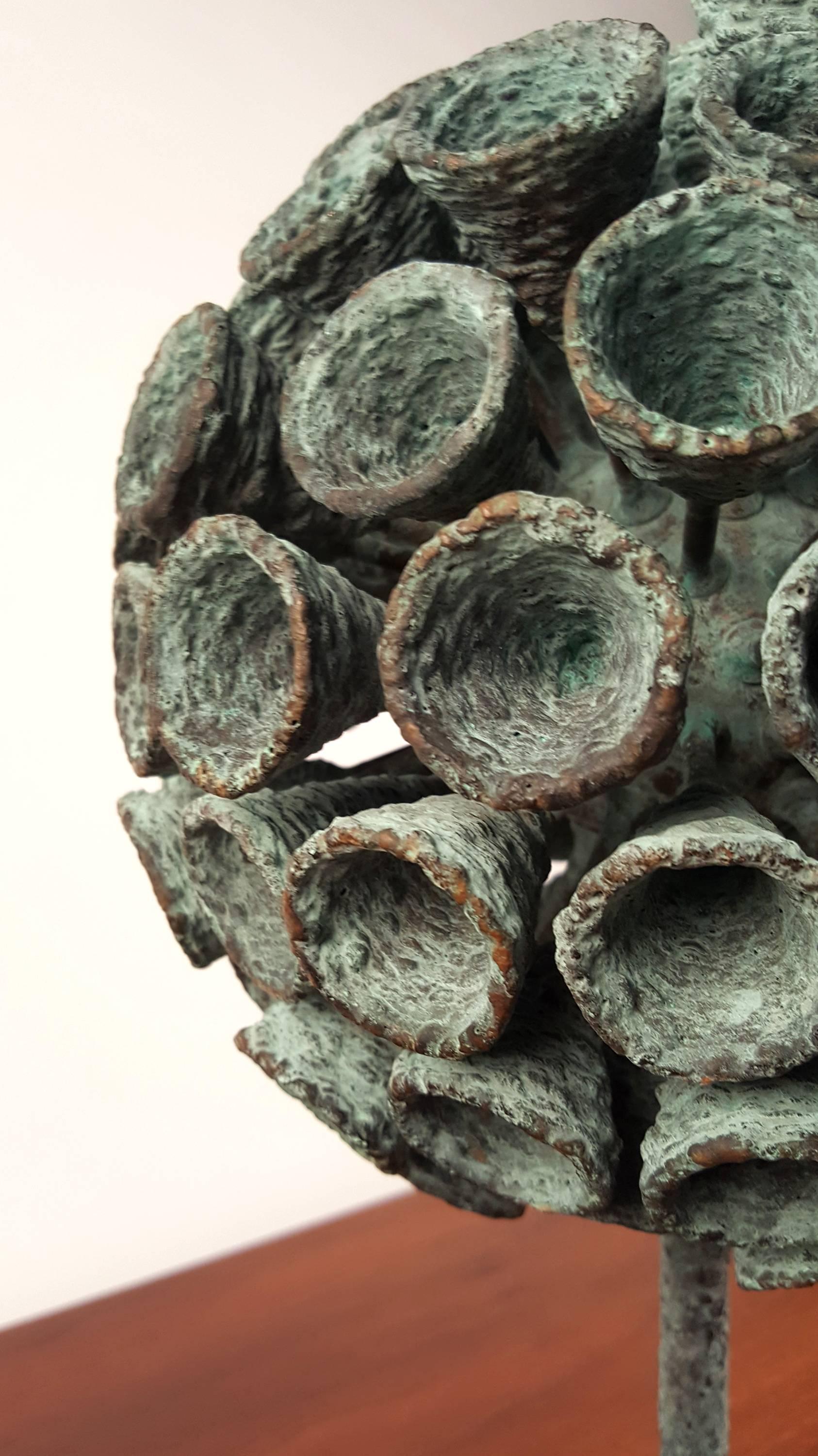 Contemporary Organic Bronze Blooming Plant Form Sculpture by Douglas Ihlenfeld