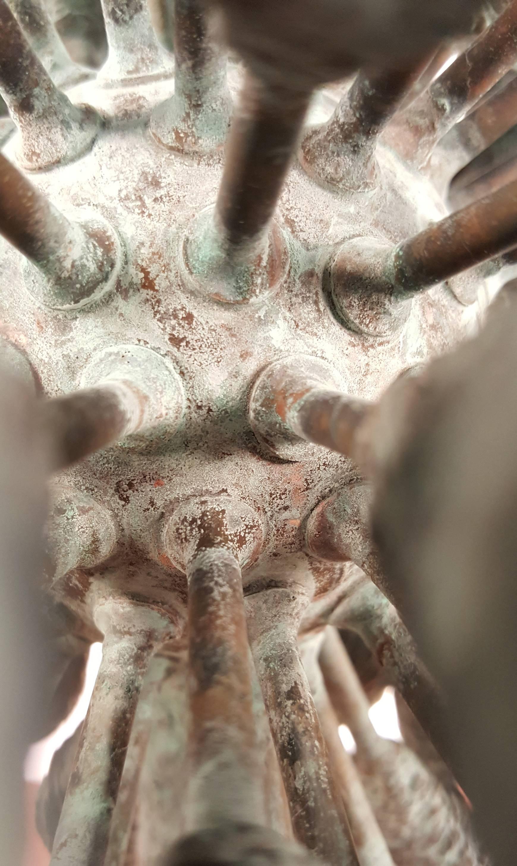 Organic Bronze Blooming Plant Form Sculpture by Douglas Ihlenfeld 1