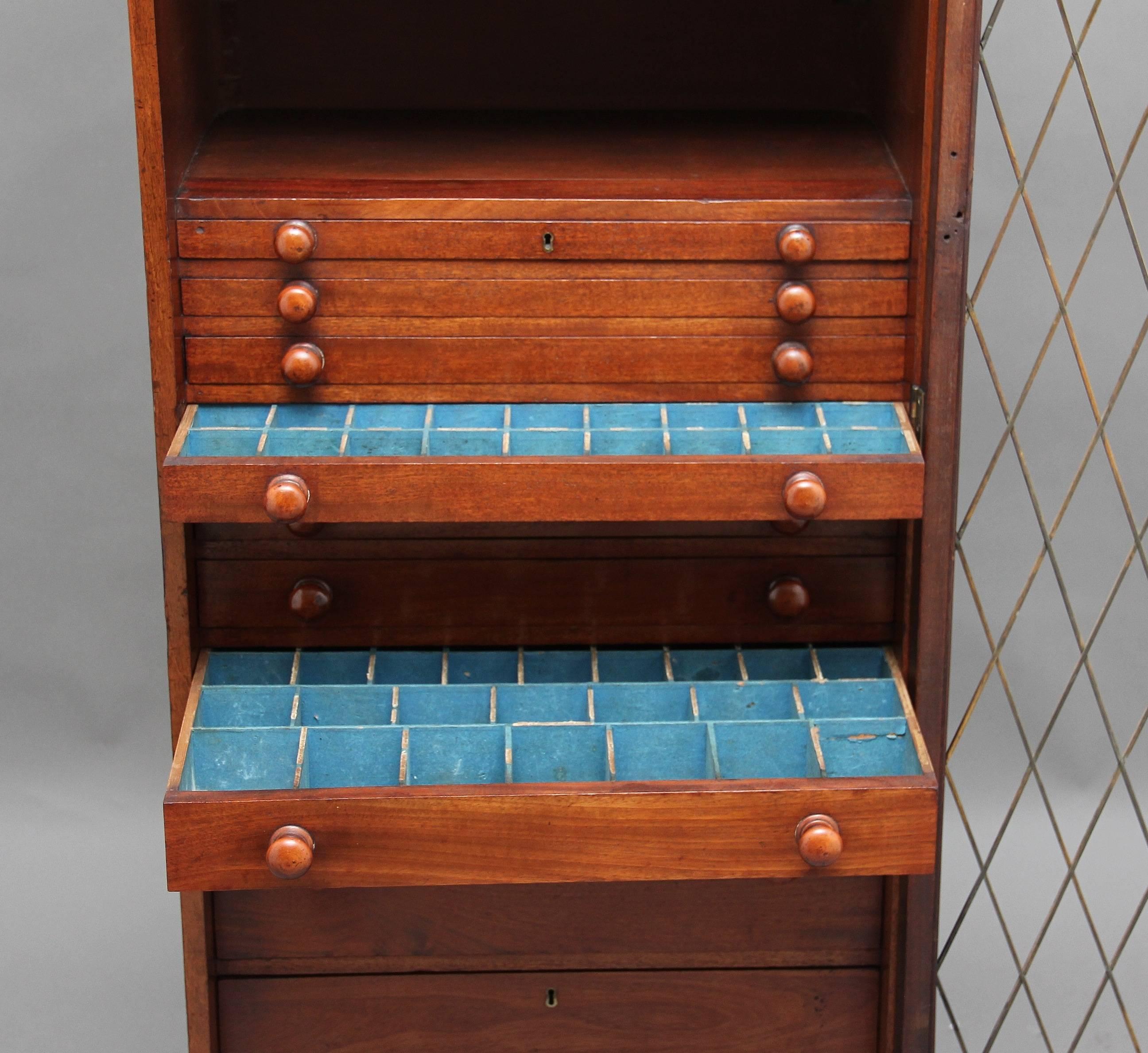 European 19th Century Early Victorian Mahogany Collectors Cabinet