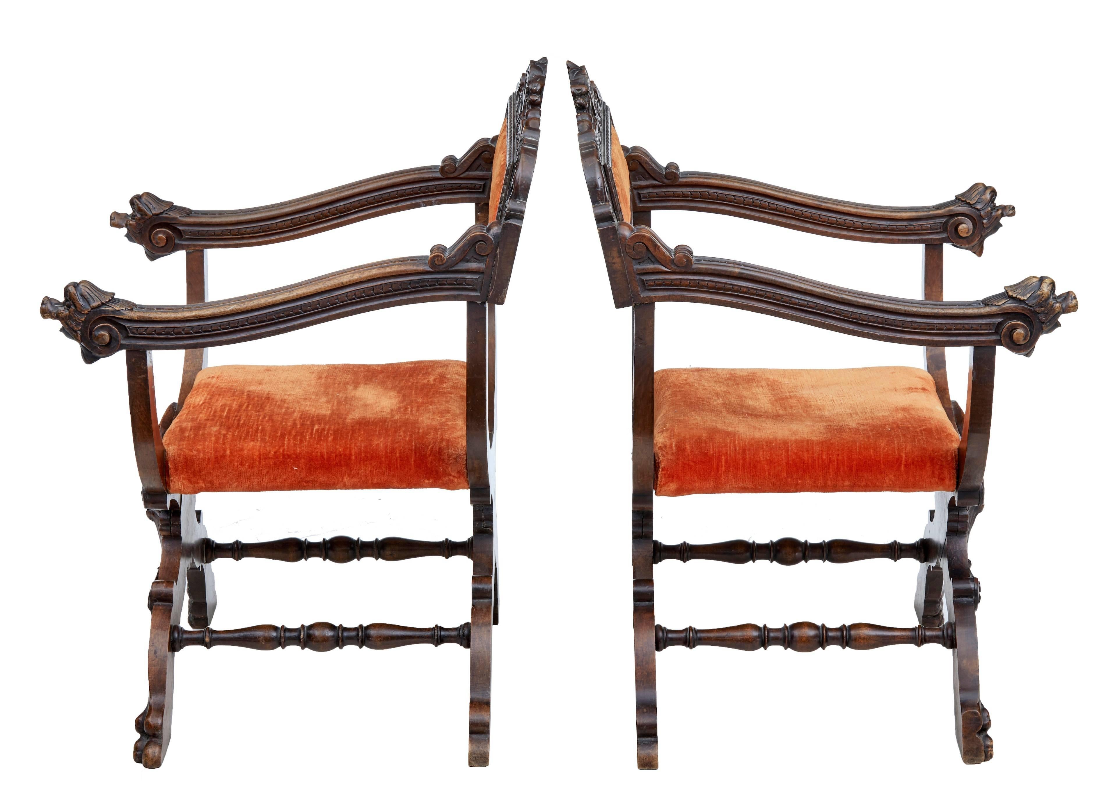Good quality pair of Italian walnut chairs of small proportions, circa 1880.
Profusely carved with lions masks and grotesques.
Carved backrest with stud work upholstery.
X frame savonarola shape, joined by turned stretchers.
One loss to carving