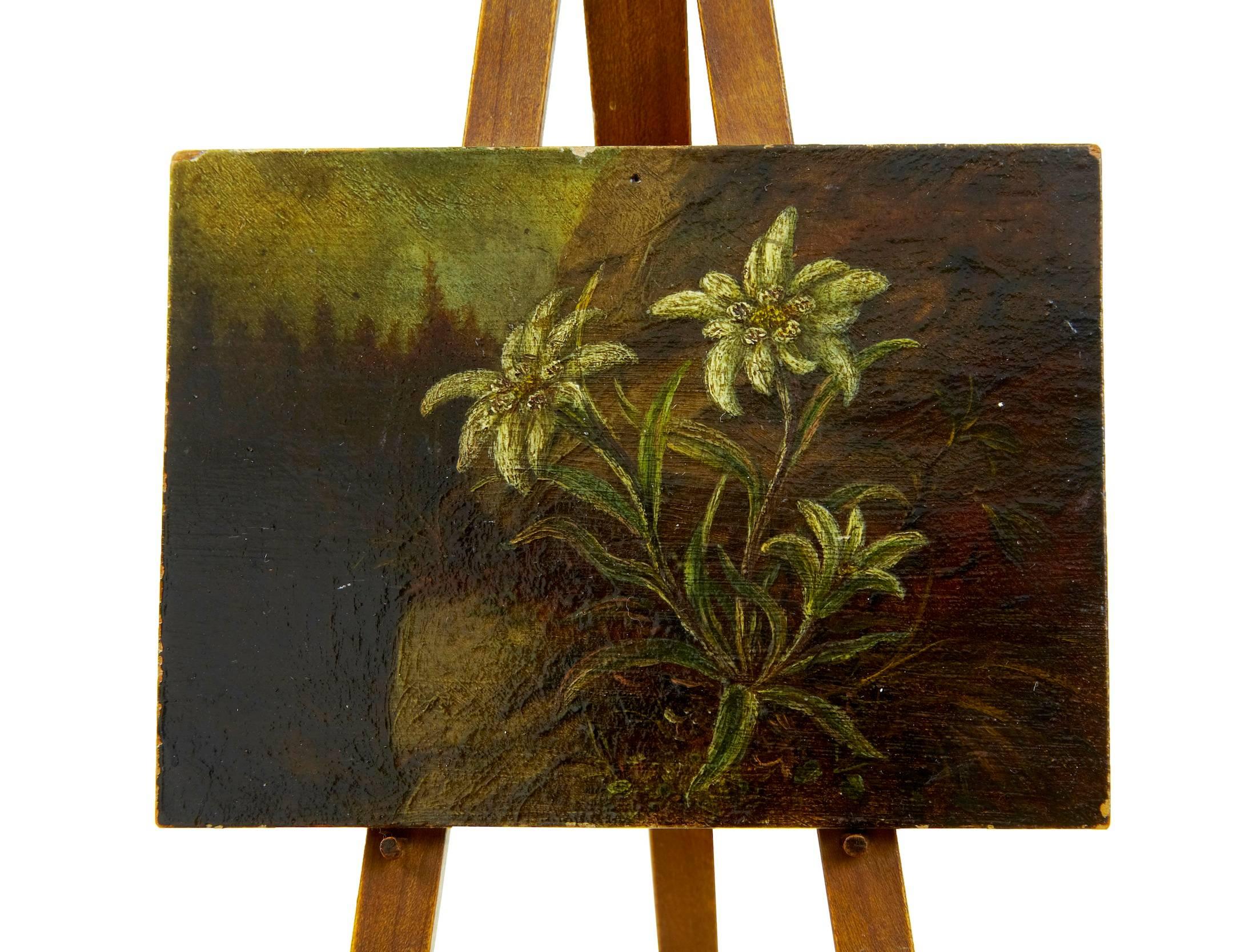 Expressionist Unusual Edelweiss 19th Century Miniature Oil on Board