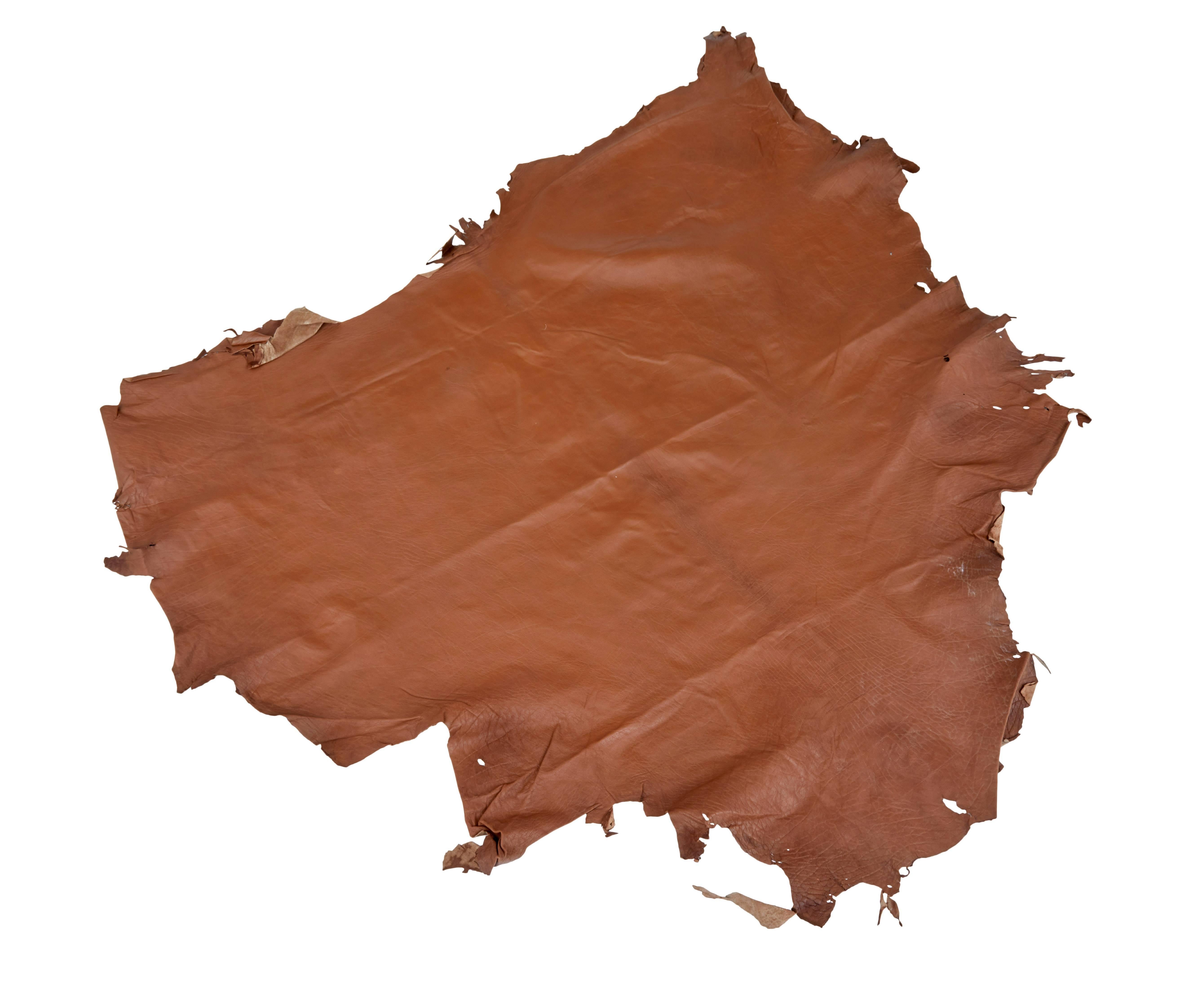 Collection of Ten Tan Cow Leather Hides for Upholstery at 1stDibs