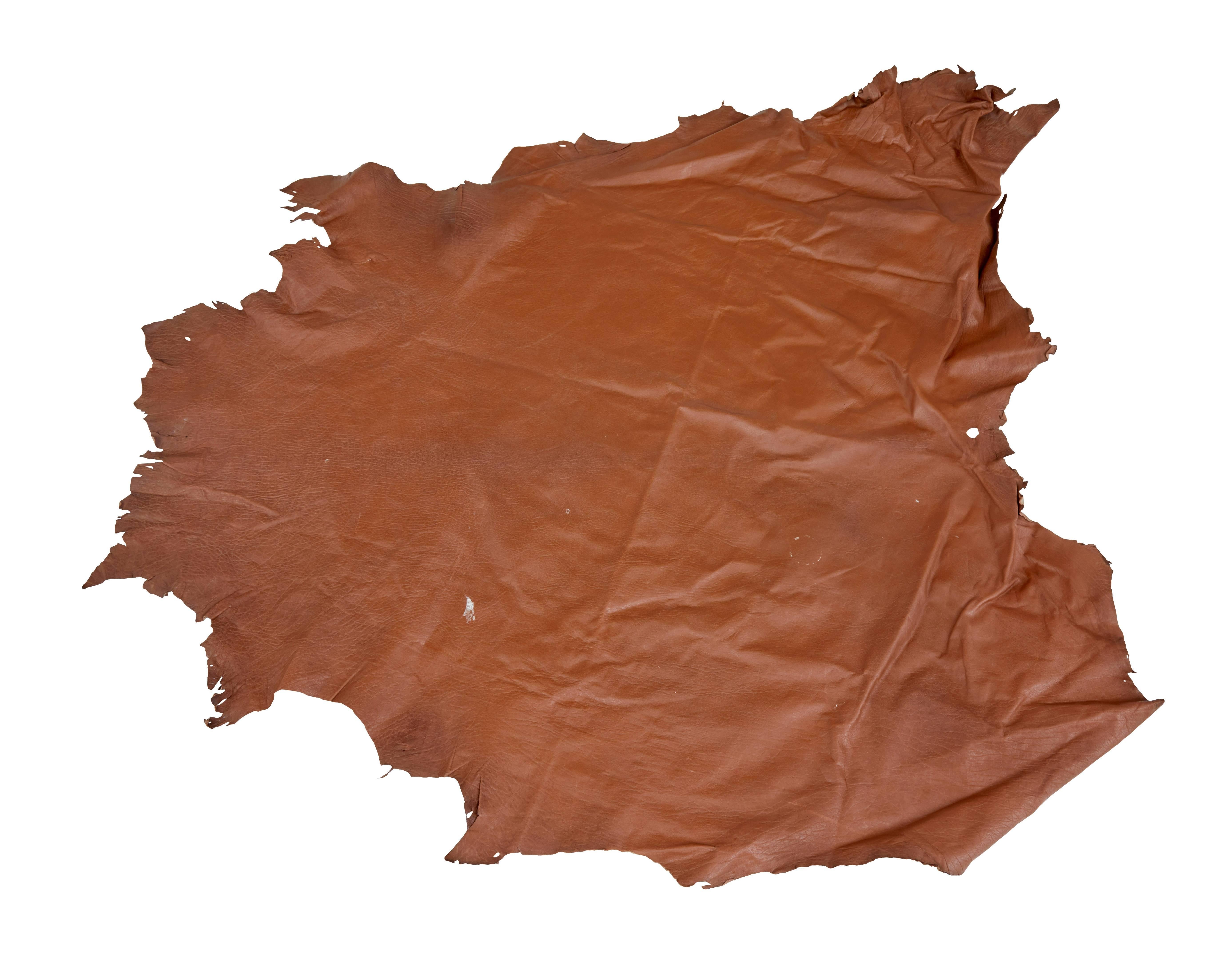 Rustic Collection of Ten Tan Cow Leather Hides for Upholstery