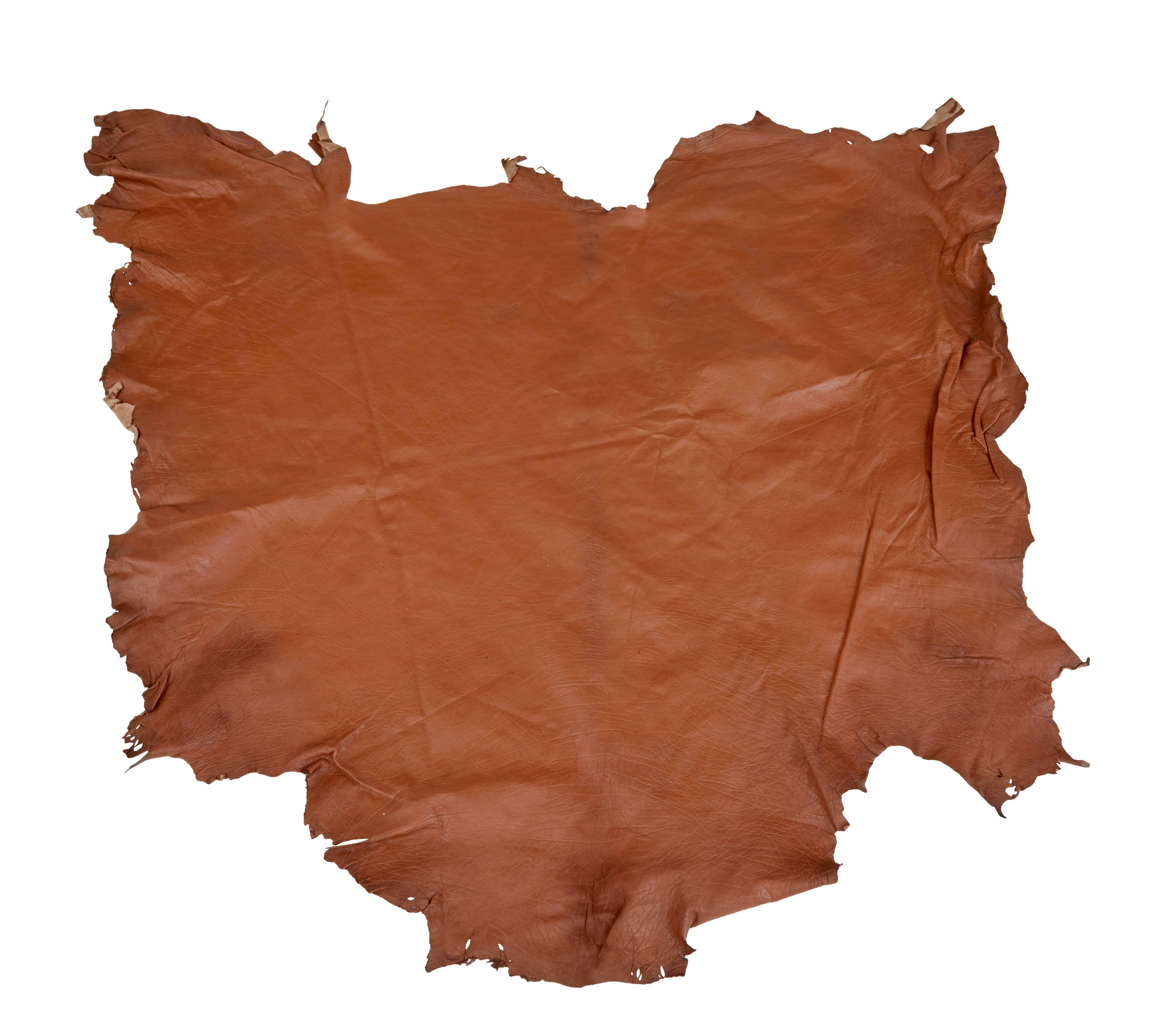 Hand-Crafted Collection of Ten Tan Cow Leather Hides for Upholstery