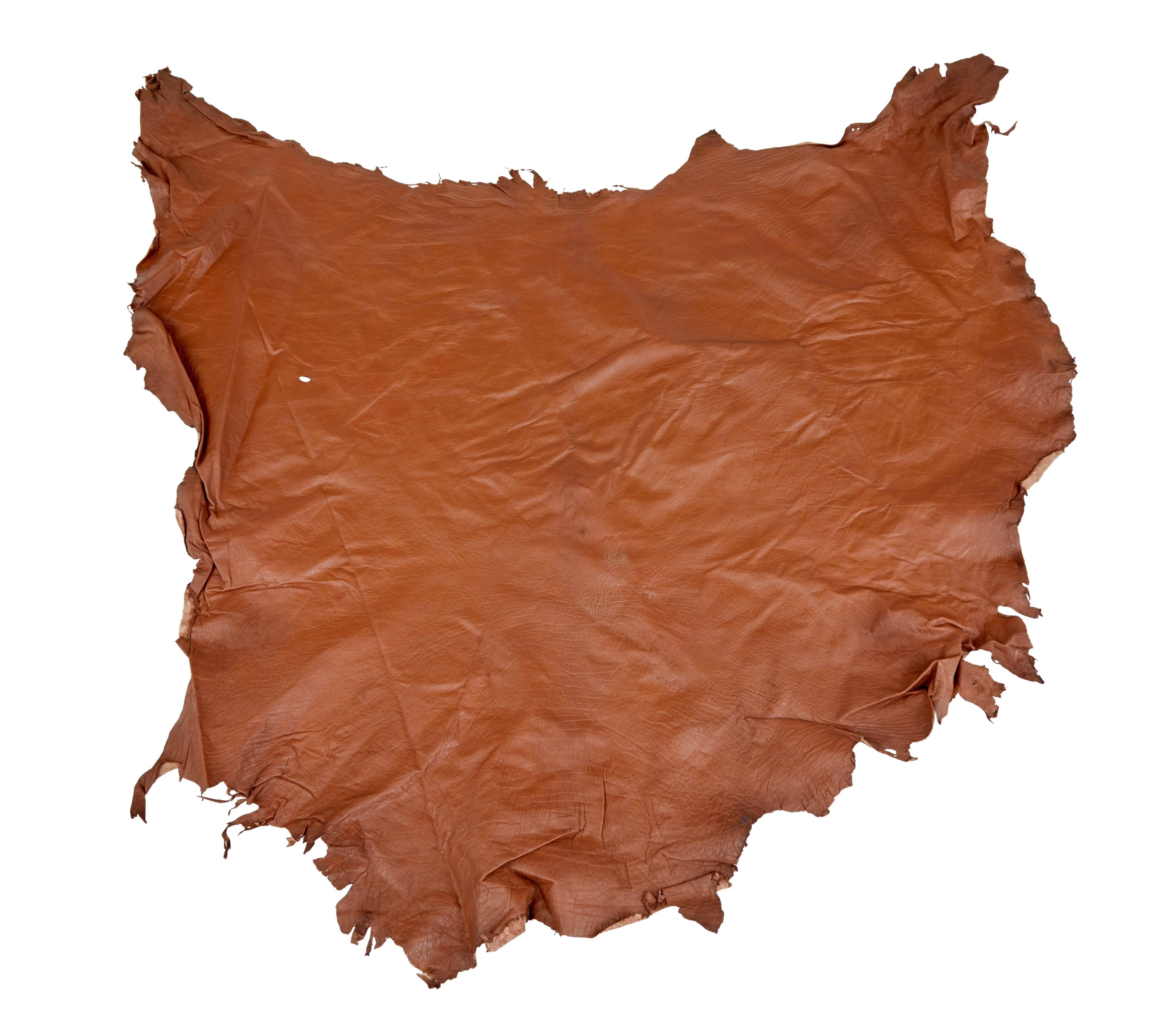 Collection of Ten Tan Cow Leather Hides for Upholstery In Good Condition In Debenham, Suffolk