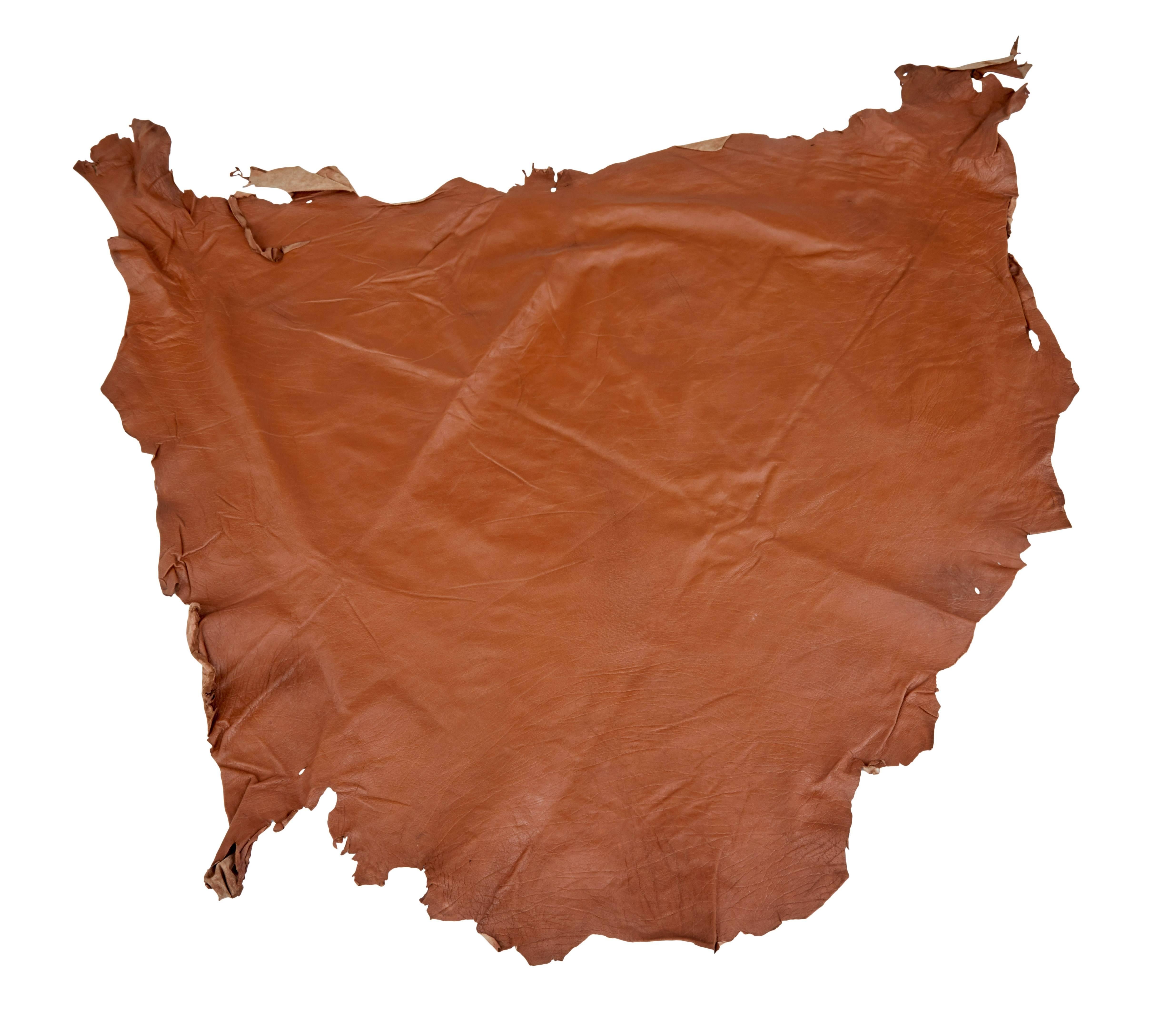 Contemporary Collection of Ten Tan Cow Leather Hides for Upholstery