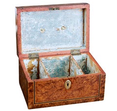 19th Century Swedish Alder Root Tea Caddy