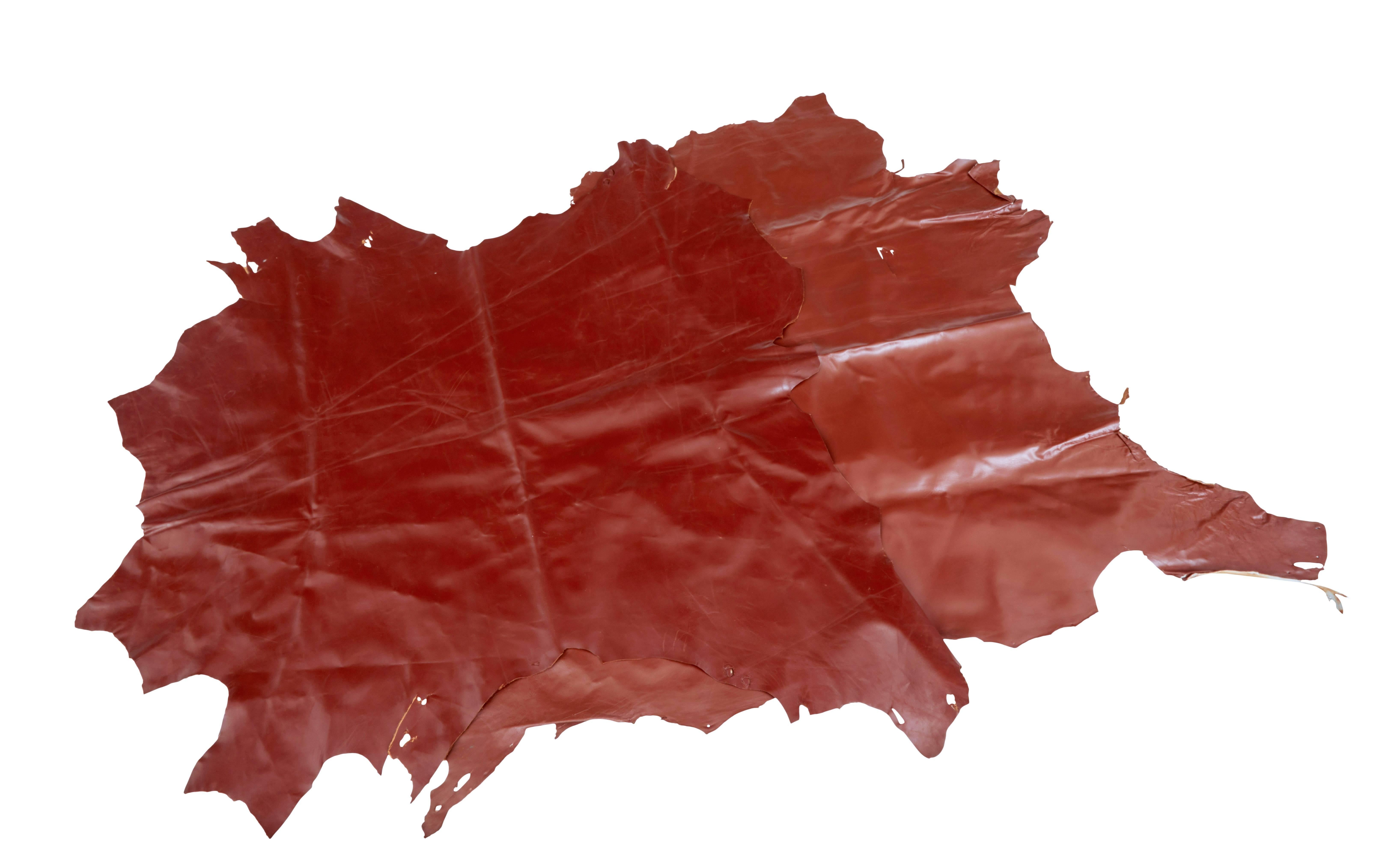 Here we have 16 red cowhide skins for upholstery.

These are three year old skins and in good condition.

Largest is 52