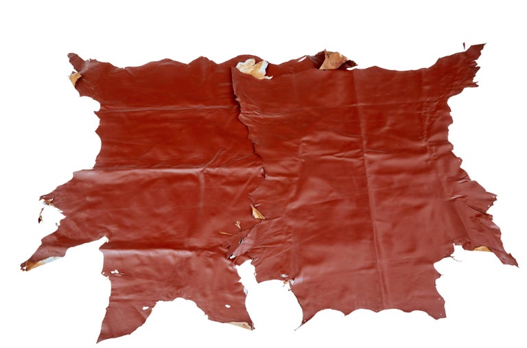 16 Cowhides for Upholstery or Decoration For Sale at 1stDibs