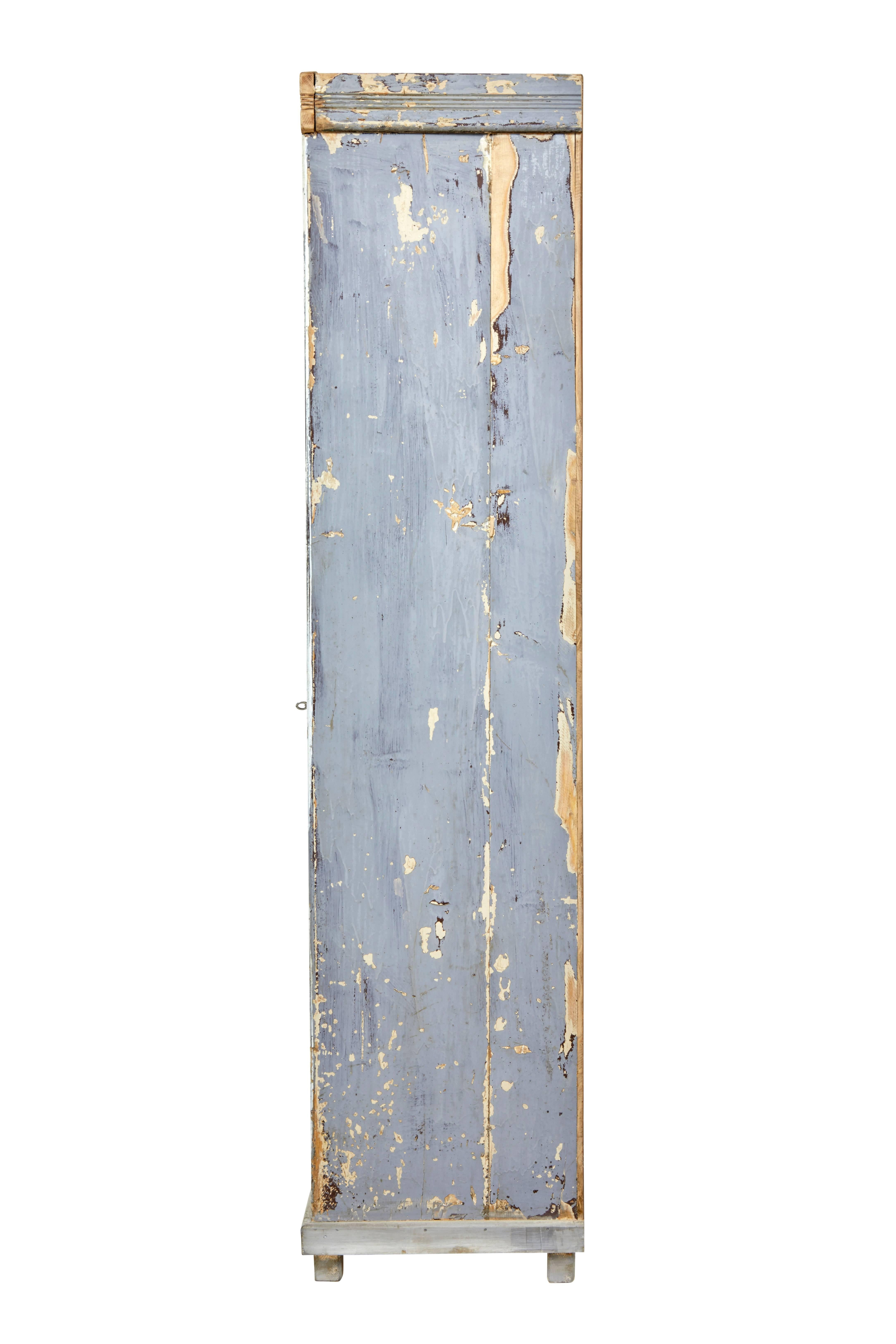 Swedish Late 19th Century Rustic Painted Pine Cabinet