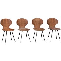 Modern Bentwood Side Chair