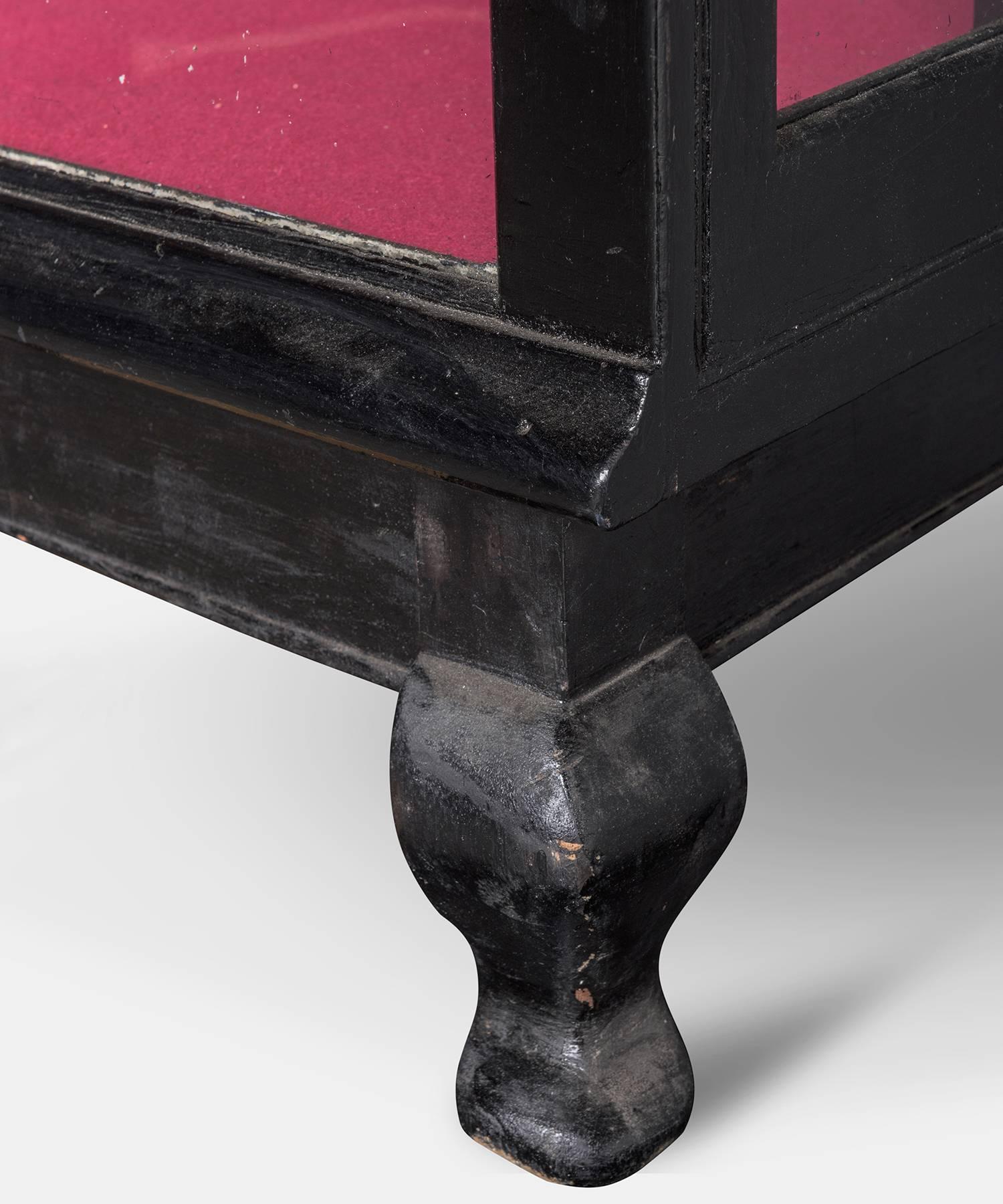 Wood Ebonised Display Cabinet, England, circa 1920