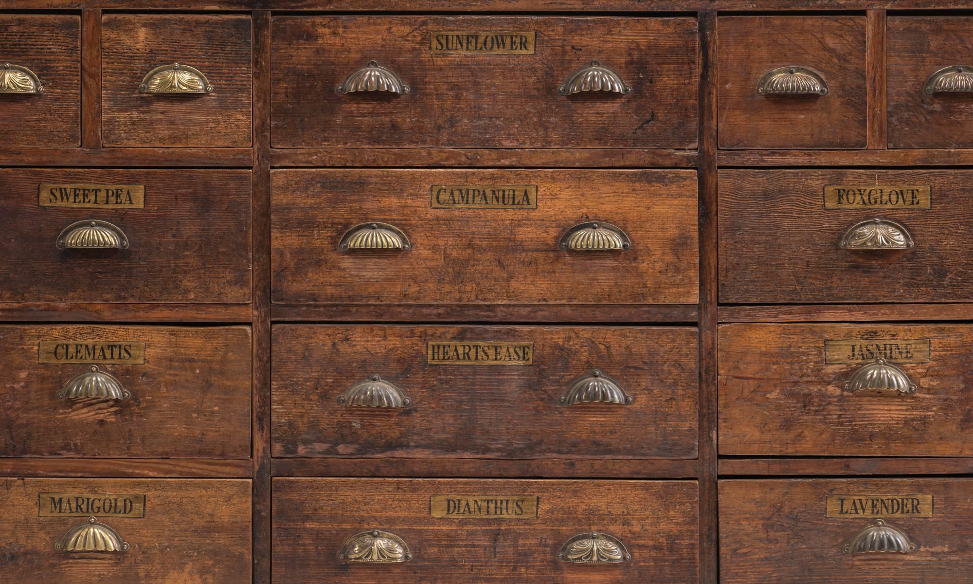 British Painted Horticulture Counter or Chest of Drawers