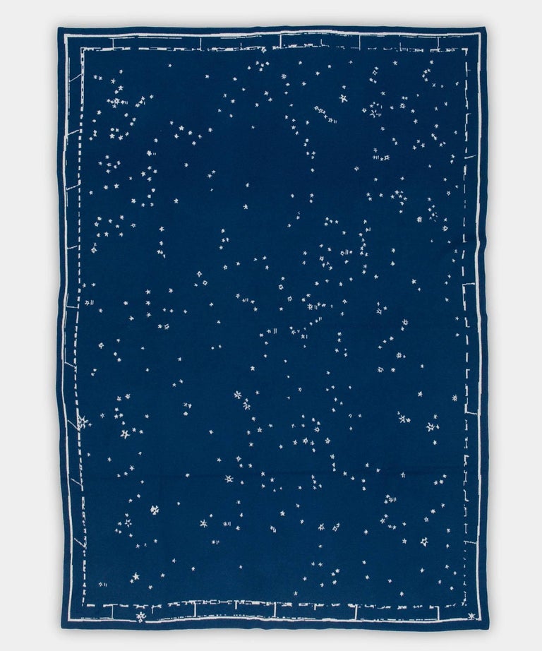 Double Horse Constellation blanket | Hermès