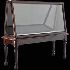 Großer Museumsschaukasten aus Eiche