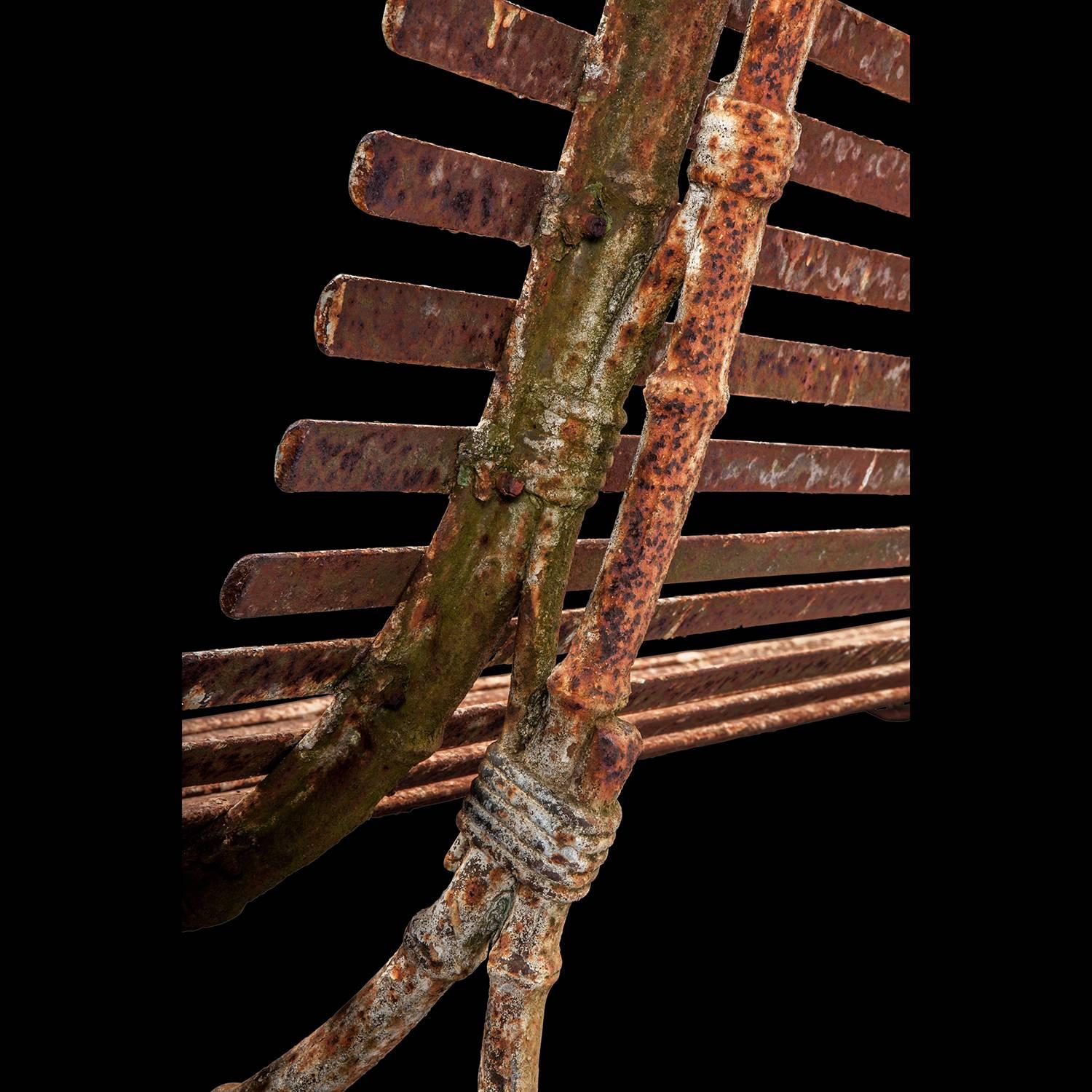 Iron Garden Bench 4