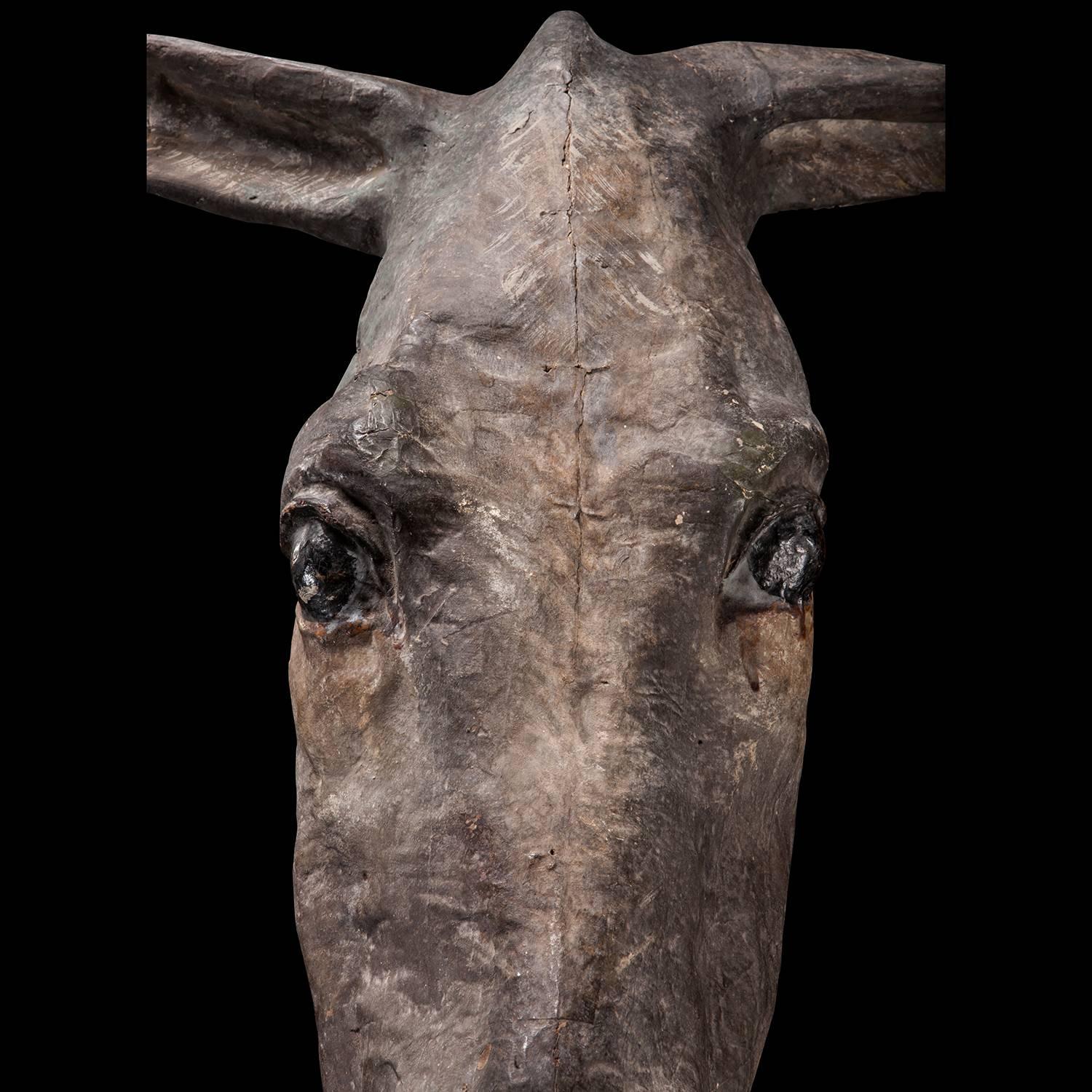 Early 20th Century Donkey Mask