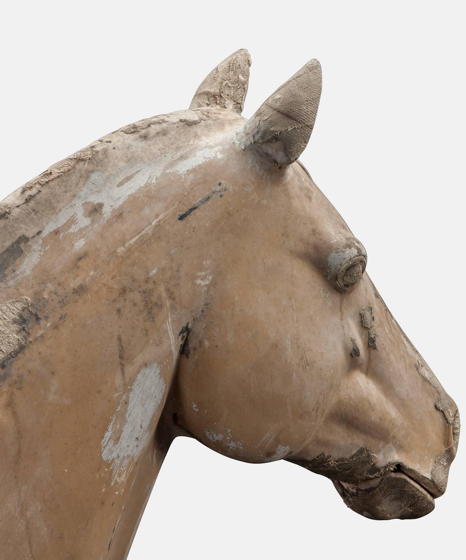 Museum Model of a Pit Pony In Good Condition In Culver City, CA