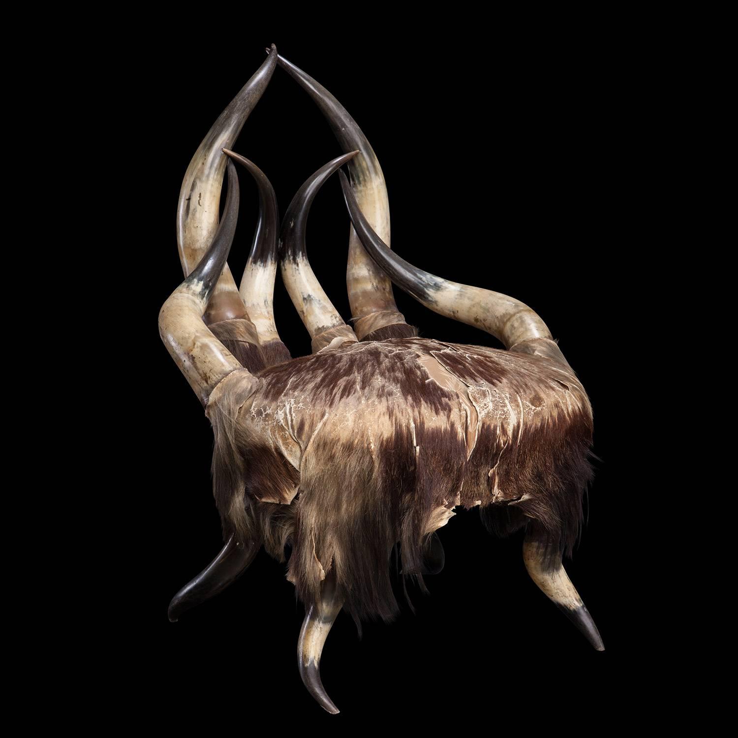 Horn legs and back with fur and leather seat.
