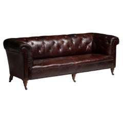 Victorian Chesterfield Sofa, England 1880