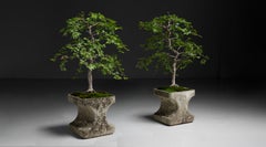 Willy Guhl Planters