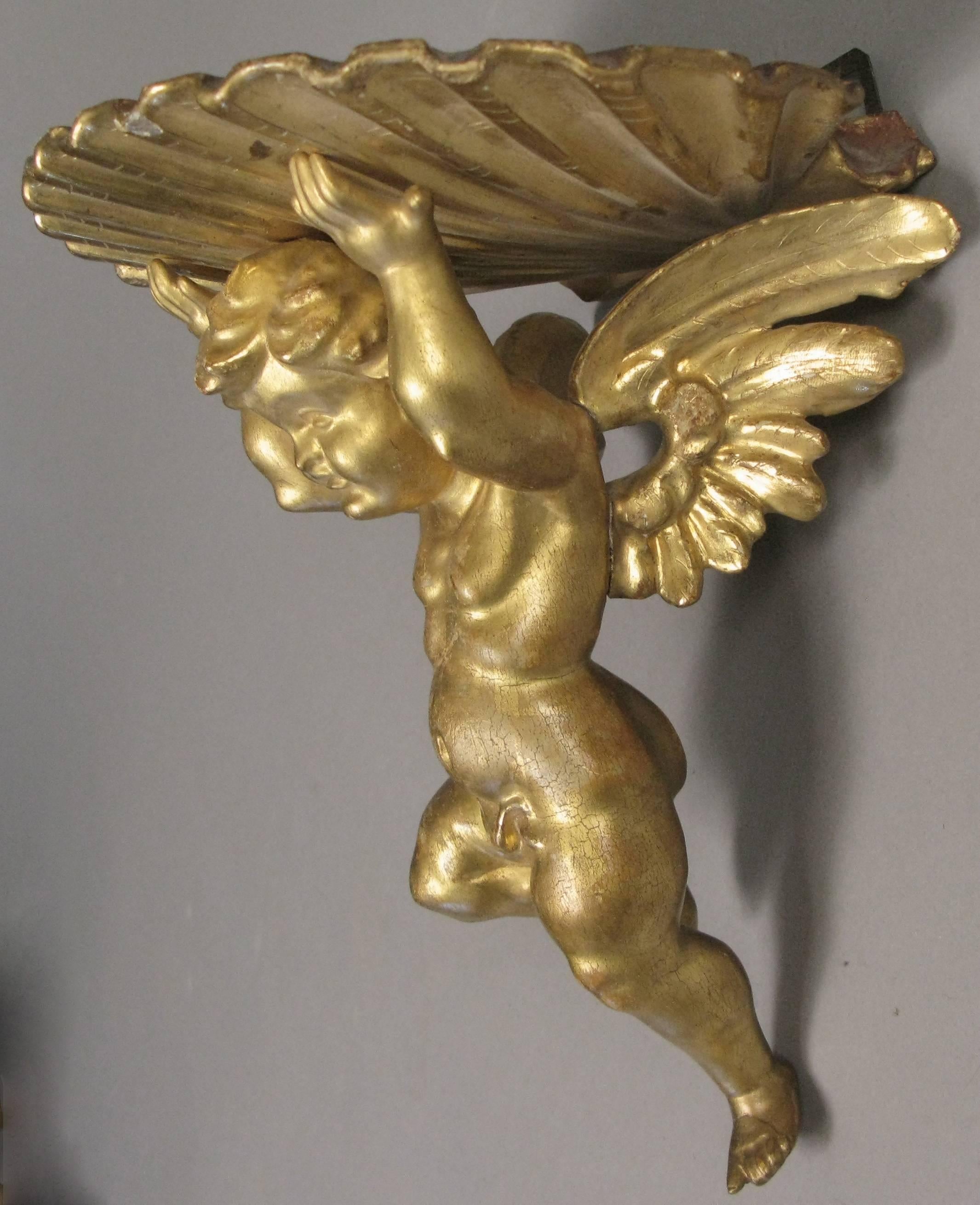 A delightful pair of shimmering winged putti wall brackets, exquisitely carved and gilded, with shell form tops. Beautiful decorative and functional pieces, really wonderful in person!