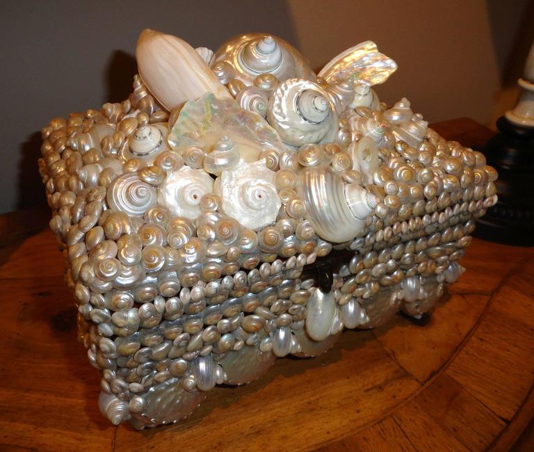Shell covered Coquillage Box at 1stDibs