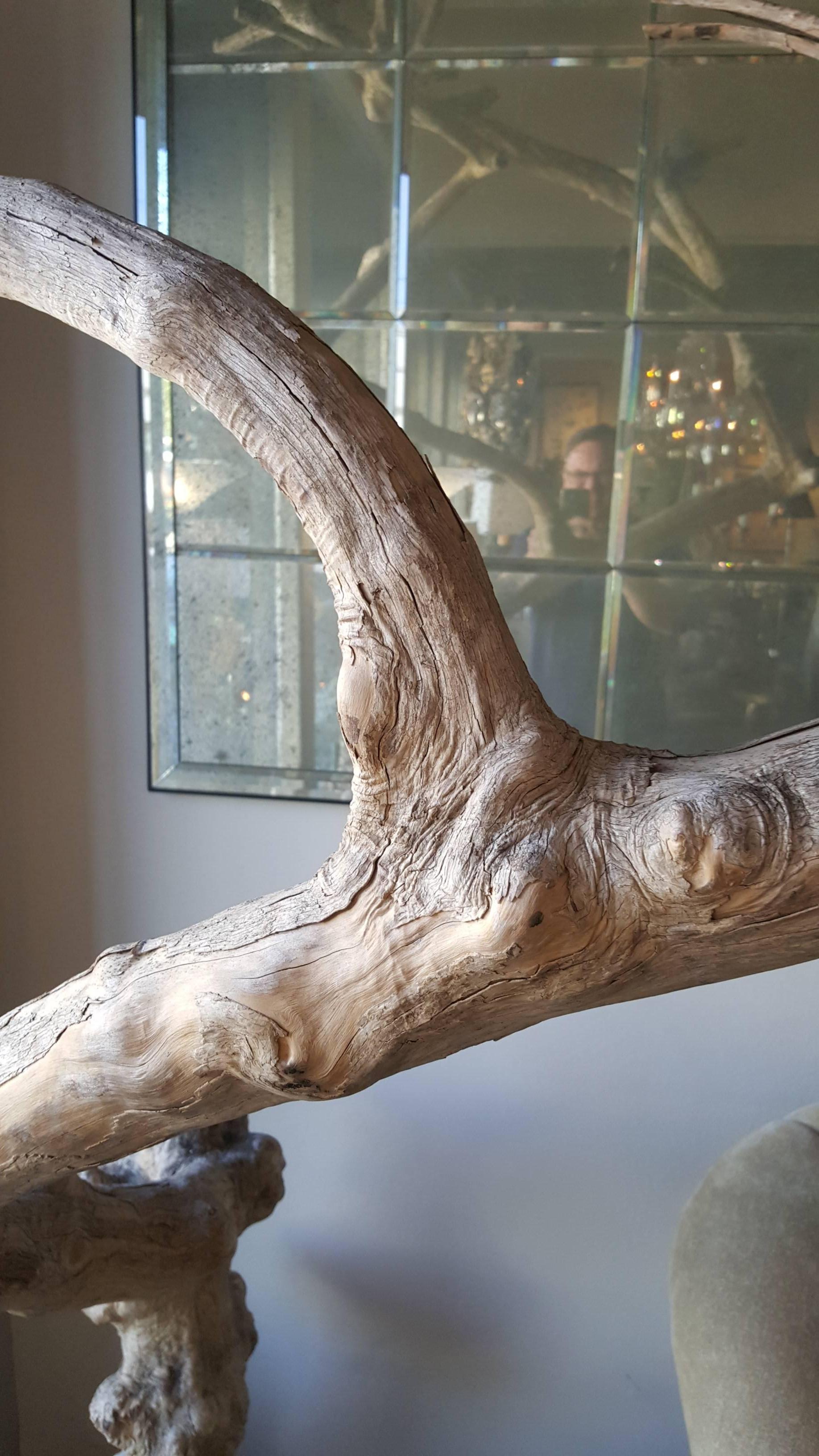 Contemporary Monumental Curly Maple Tree Sculpture For Sale