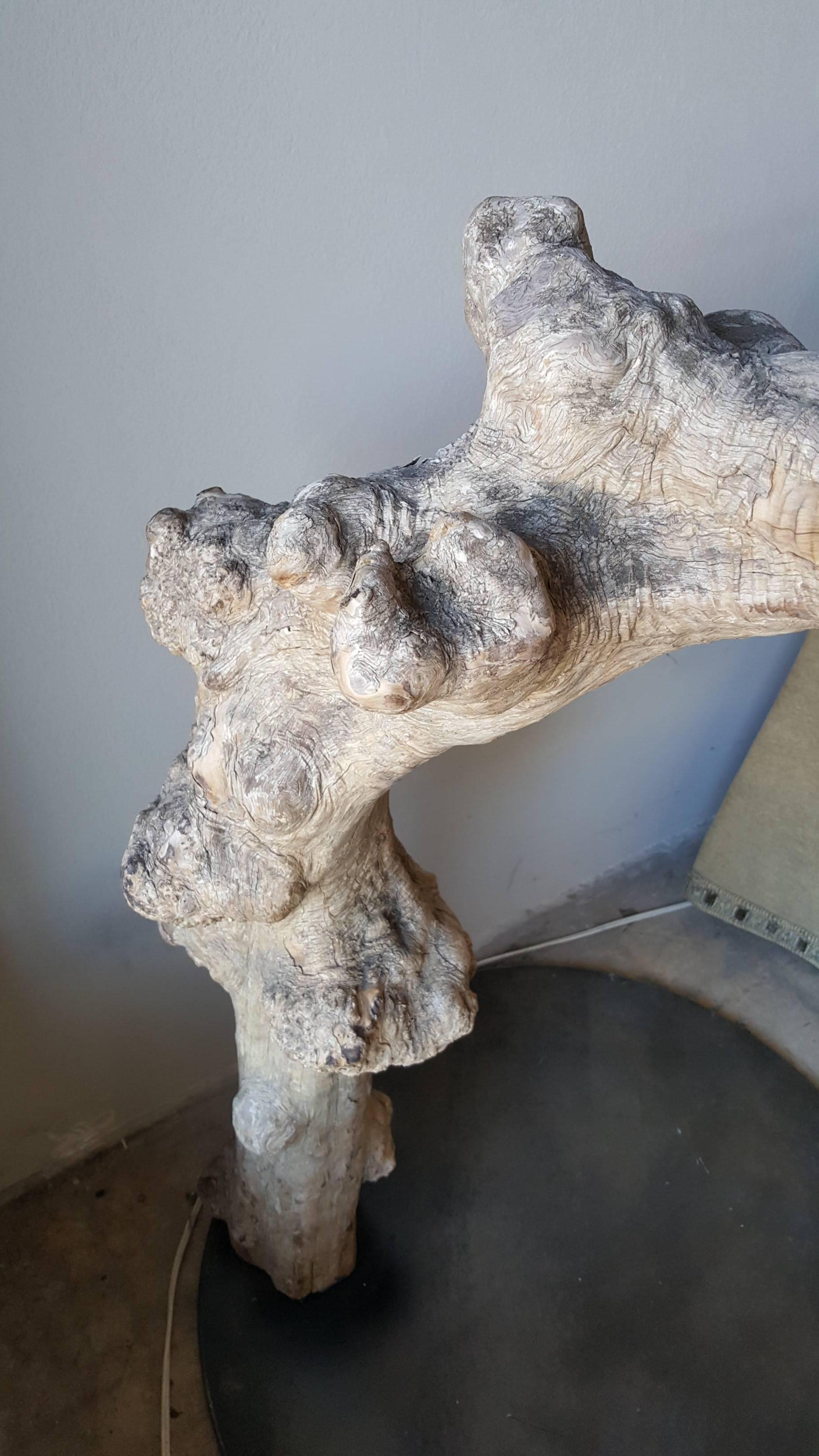 Unknown Monumental Curly Maple Tree Sculpture For Sale