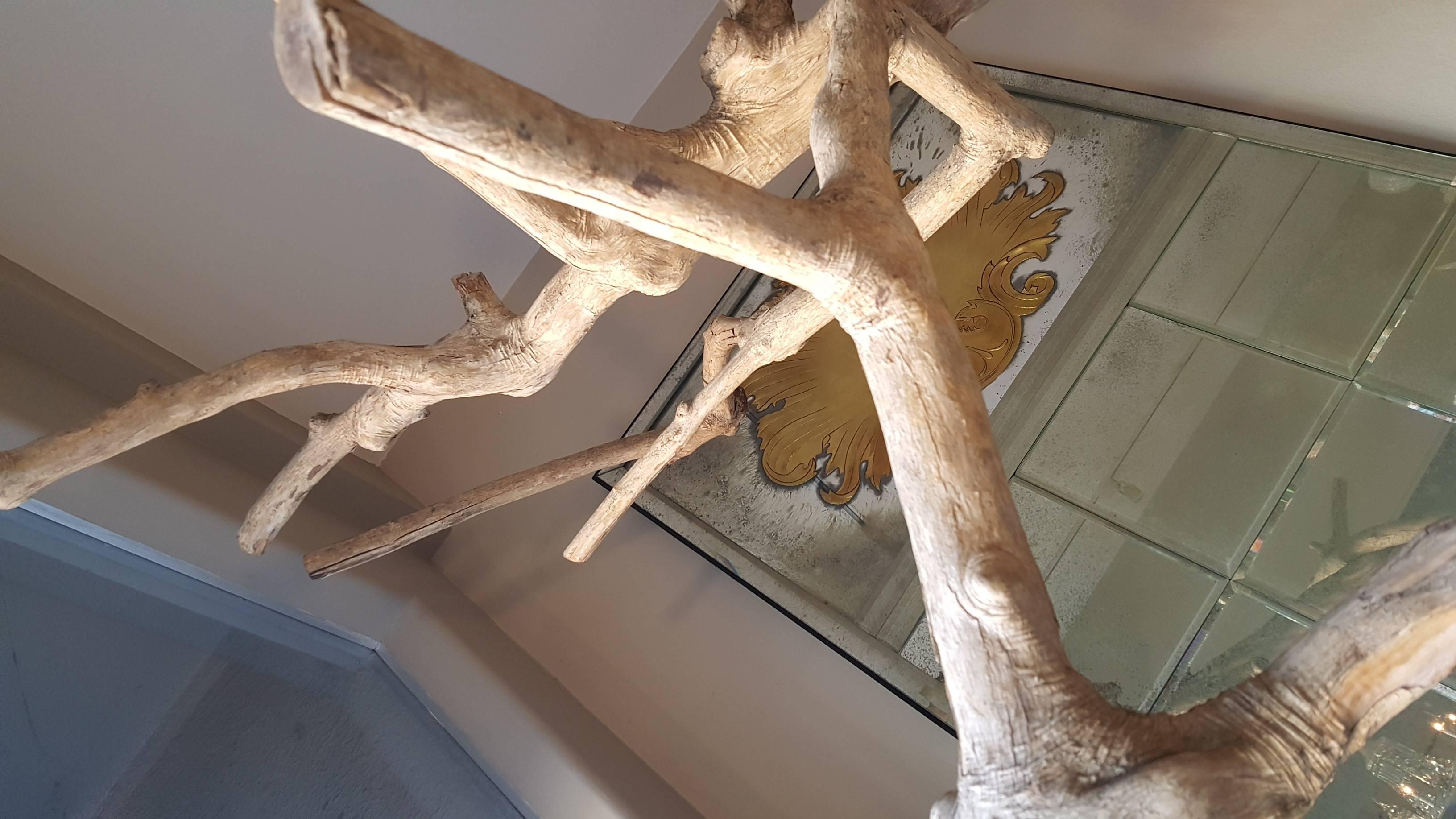 Monumental Curly Maple Tree Sculpture In Good Condition For Sale In Los Angeles, CA