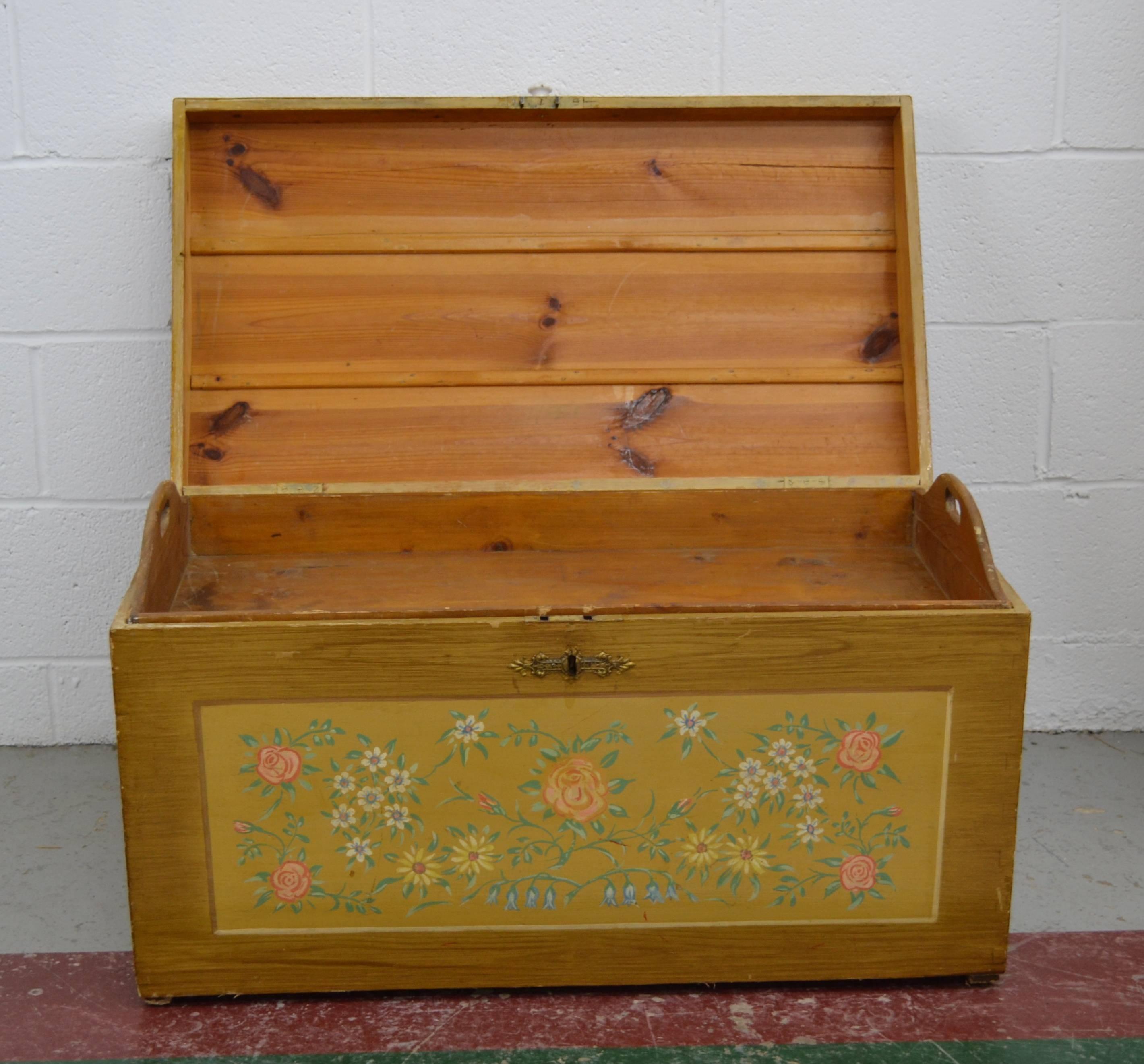 Dutch Painted Pine Dome Top Trunk
