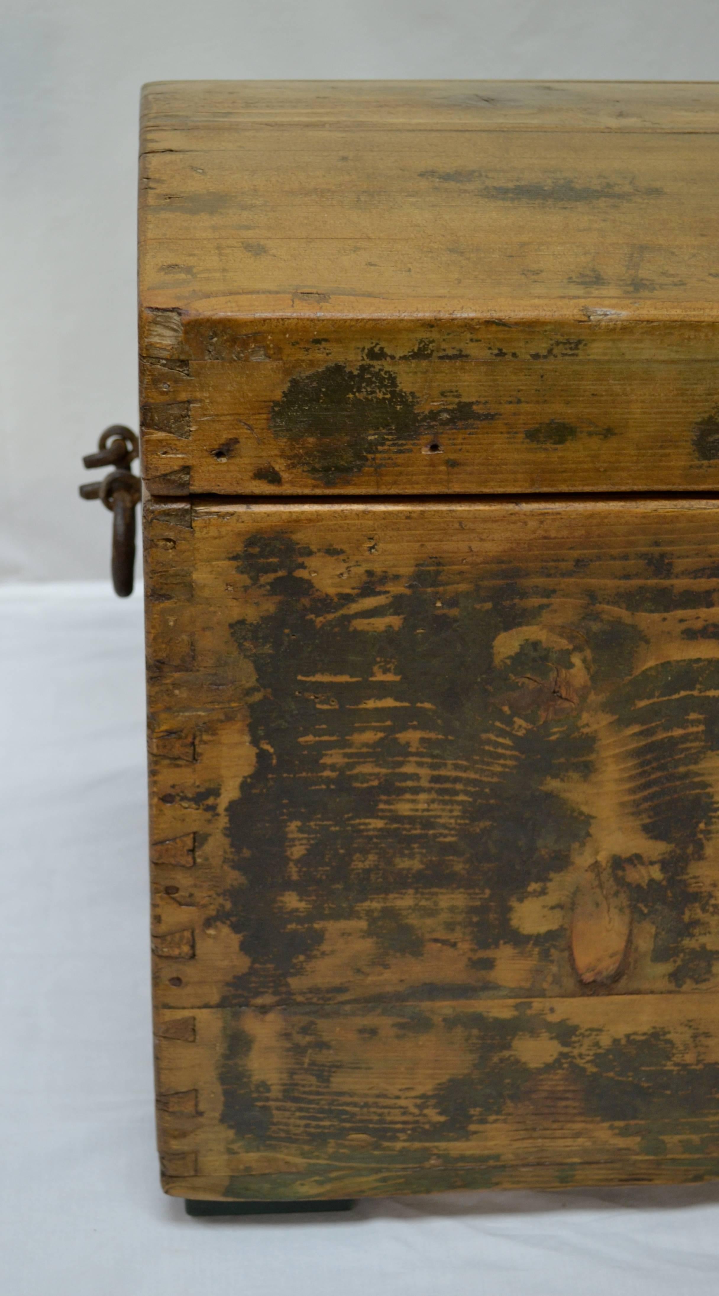 Pine Painted Dome-Top Trunk In Good Condition In Baltimore, MD