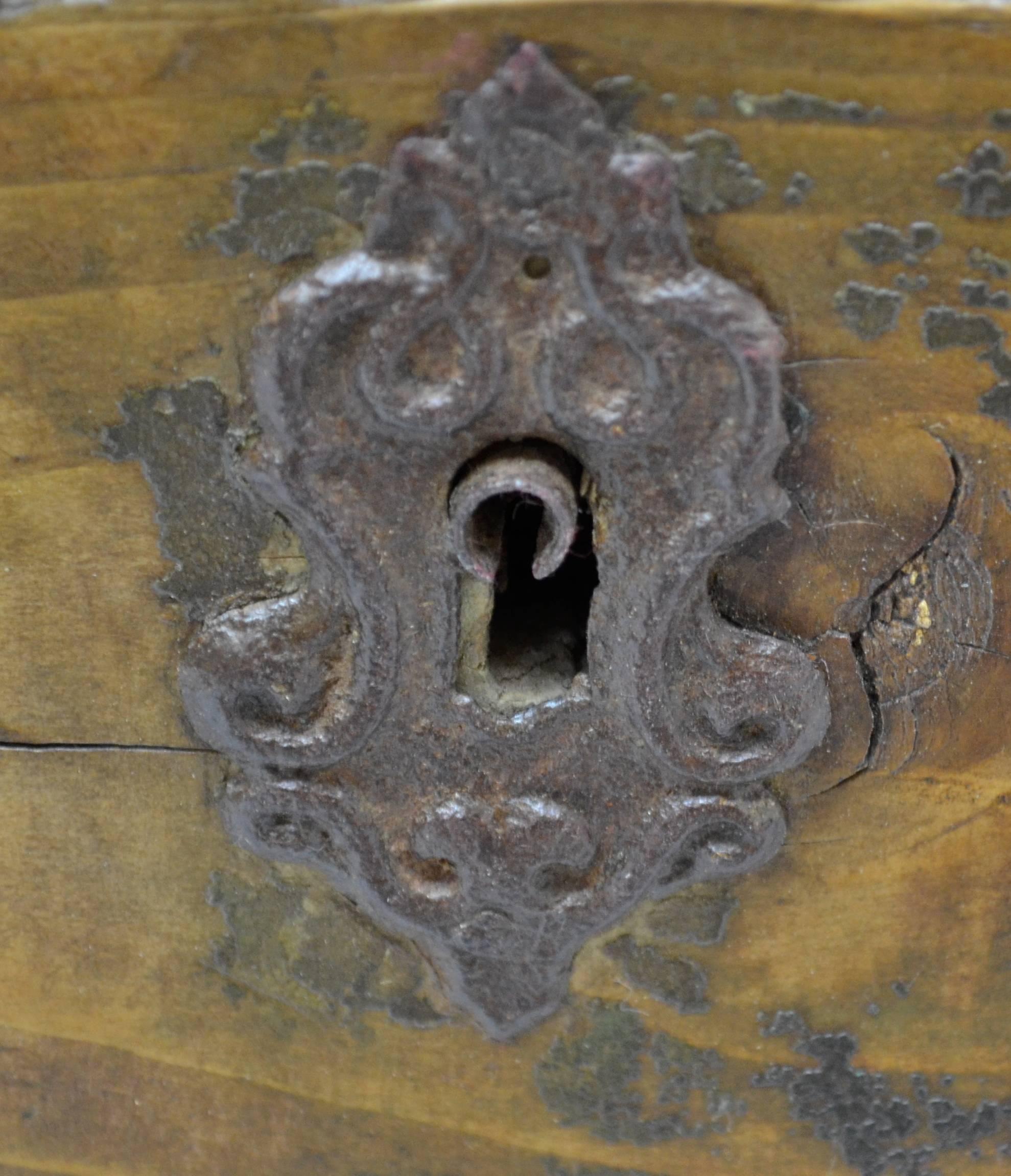 Pine Painted Dome-Top Trunk 1