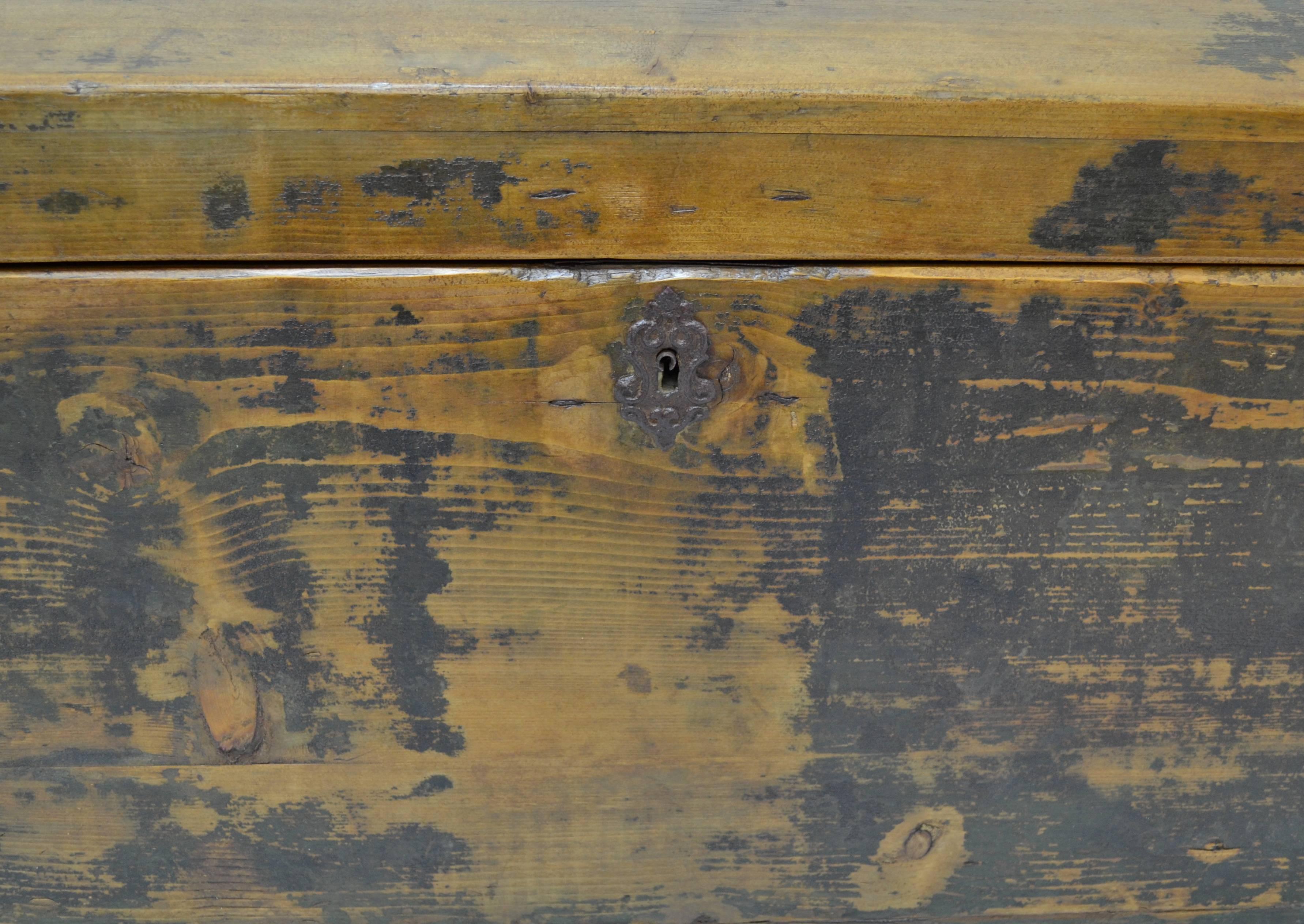 Pine Painted Dome-Top Trunk 2