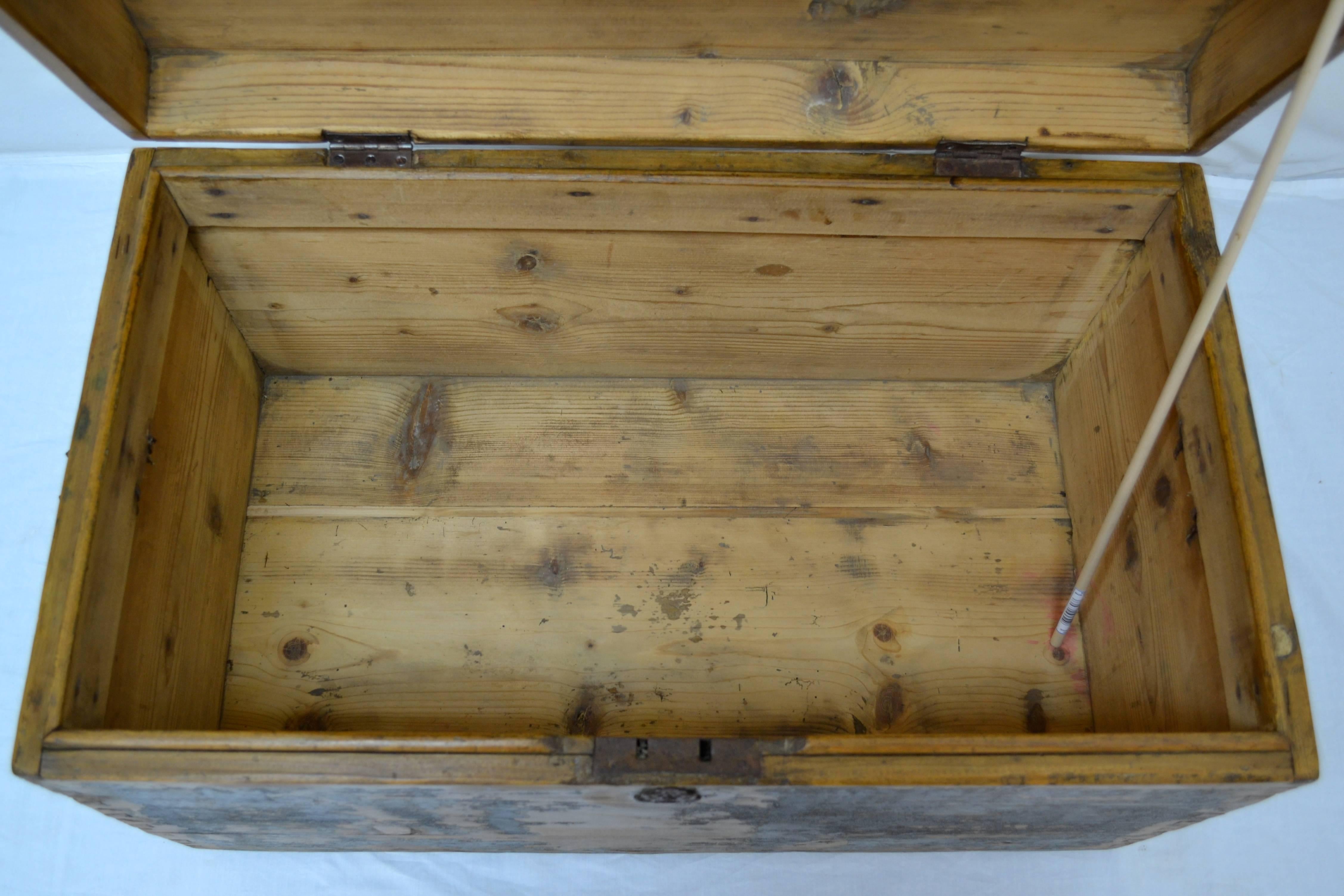 Pine Painted Dome-Top Trunk 3