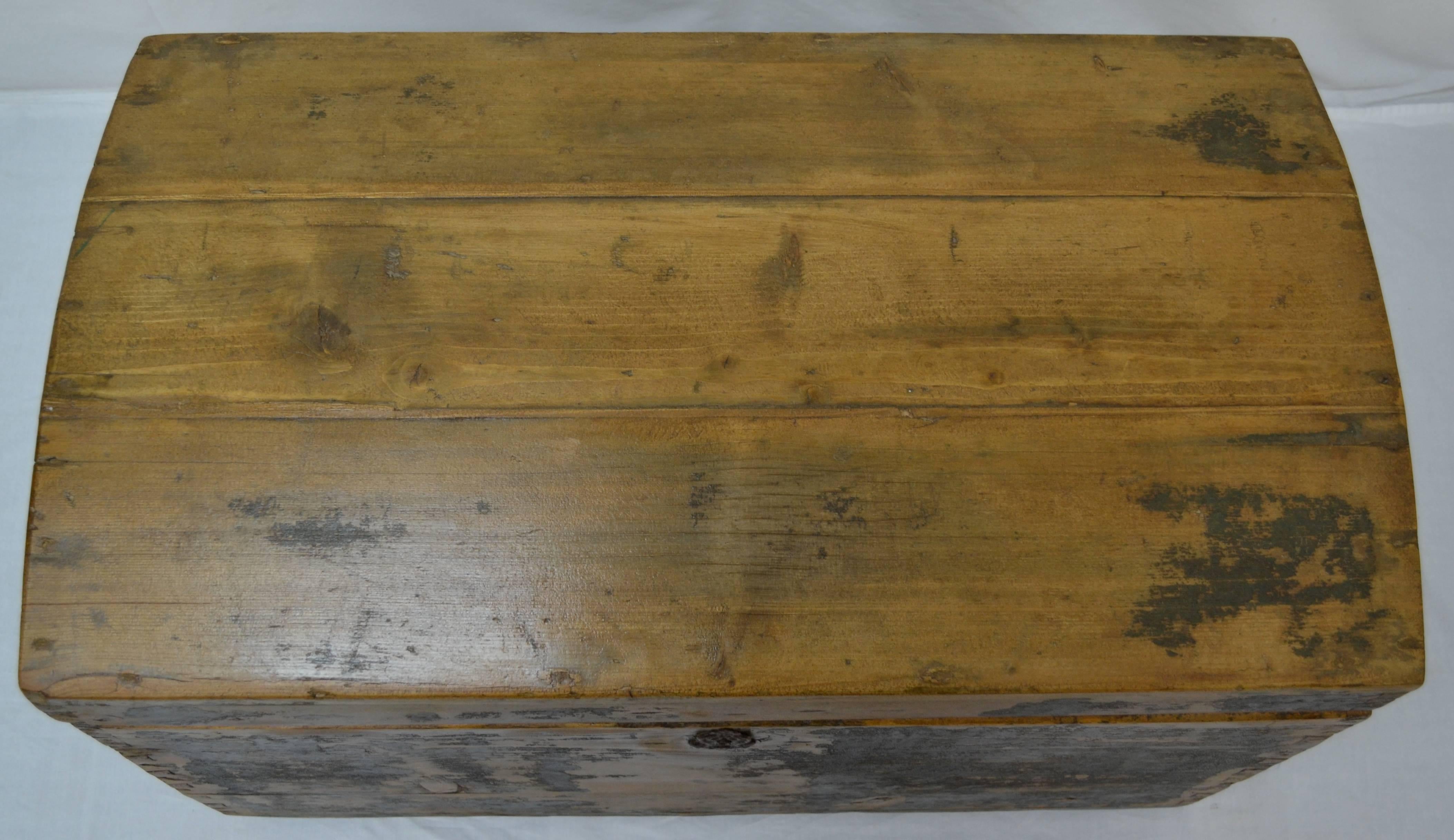Pine Painted Dome-Top Trunk 4
