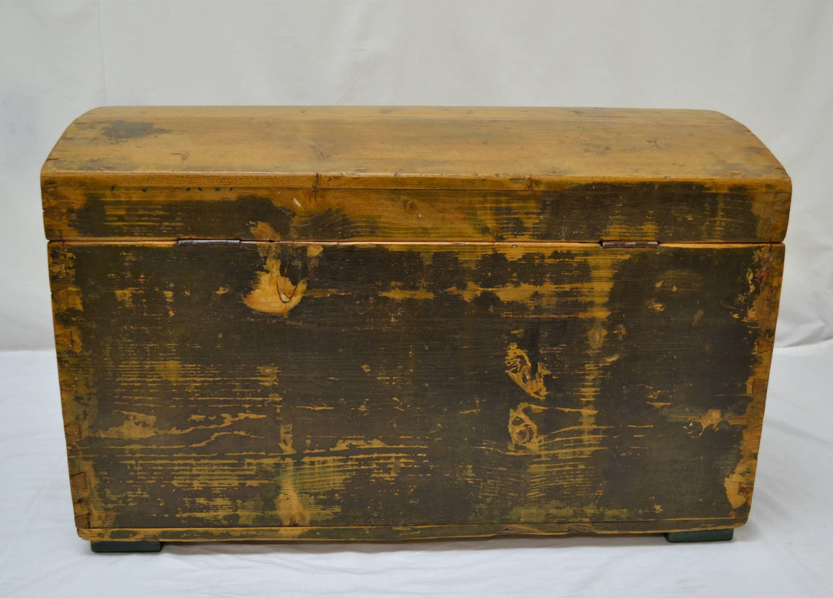 Pine Painted Dome-Top Trunk 5