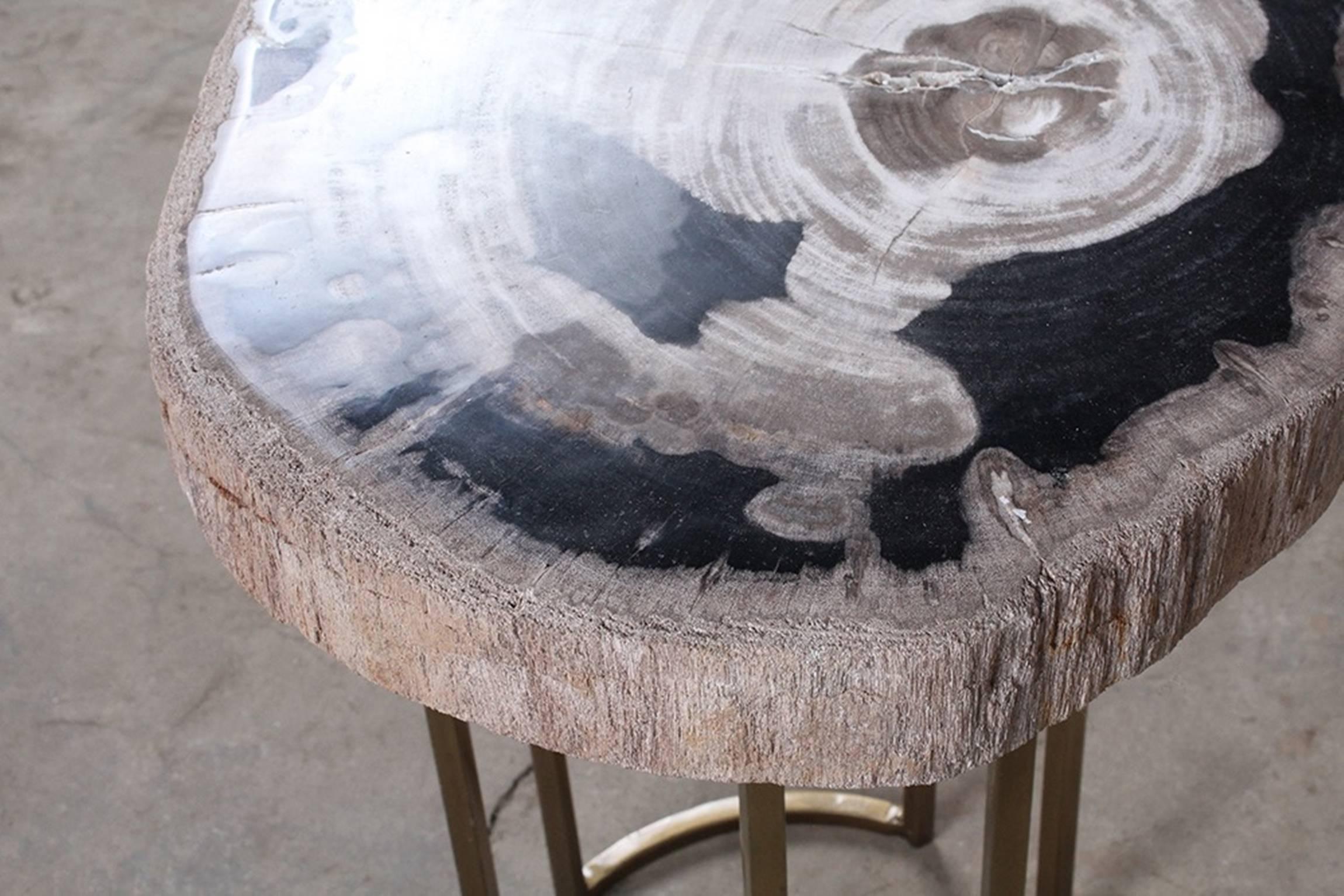 A stunning petrified wood and brass accent table. This accent table features a removable round petrified wood top with bold wood grain hues on a gold tone open metallic brass base with curved accents.
Dimensions:
18.5