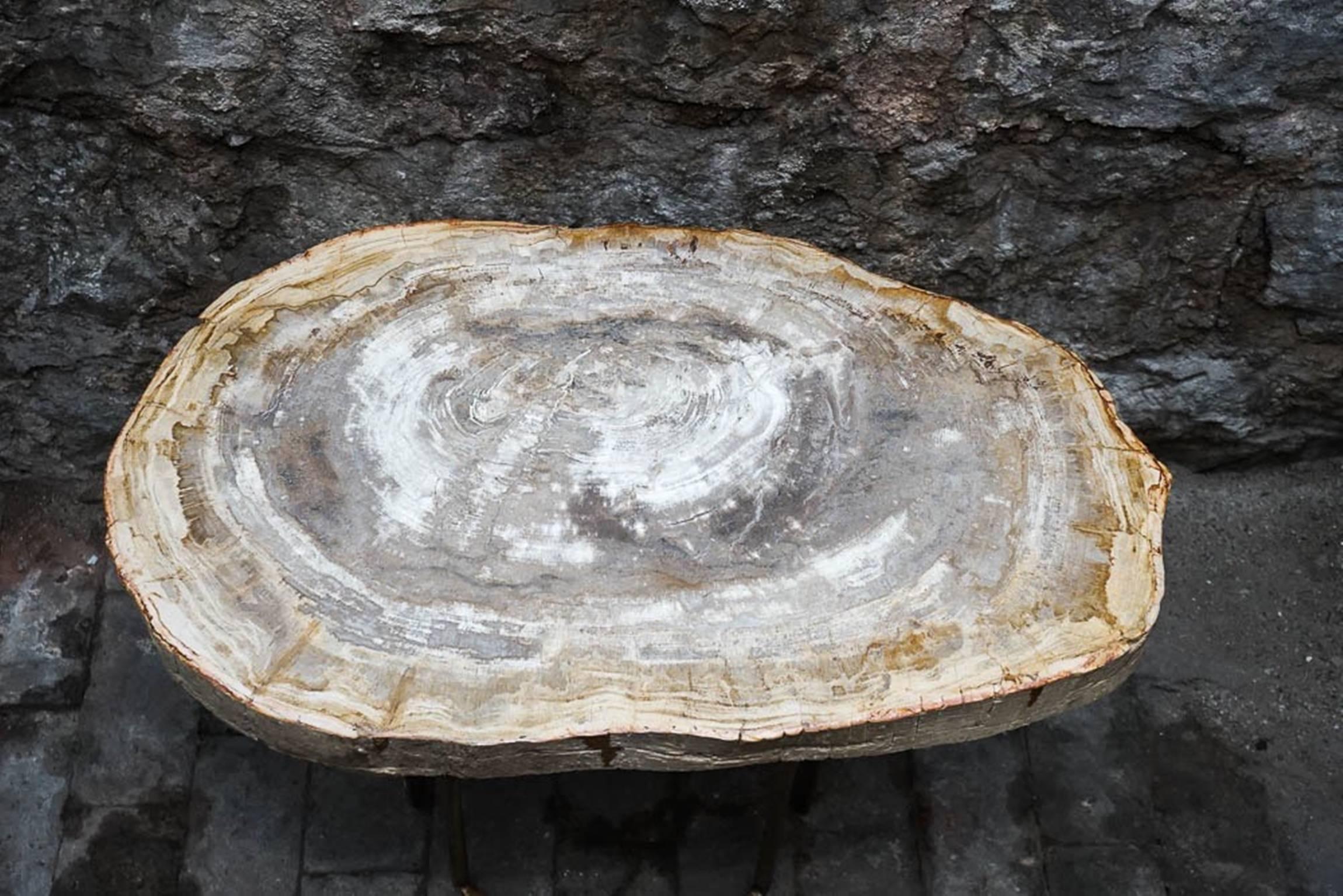 A petrified wood slab accent table with brass base. This table features a natural free-form ovular wood slab top with natural edge and characteristics on a rounded polished open brass frame. tabletop is removable.
Measurements: 15.5