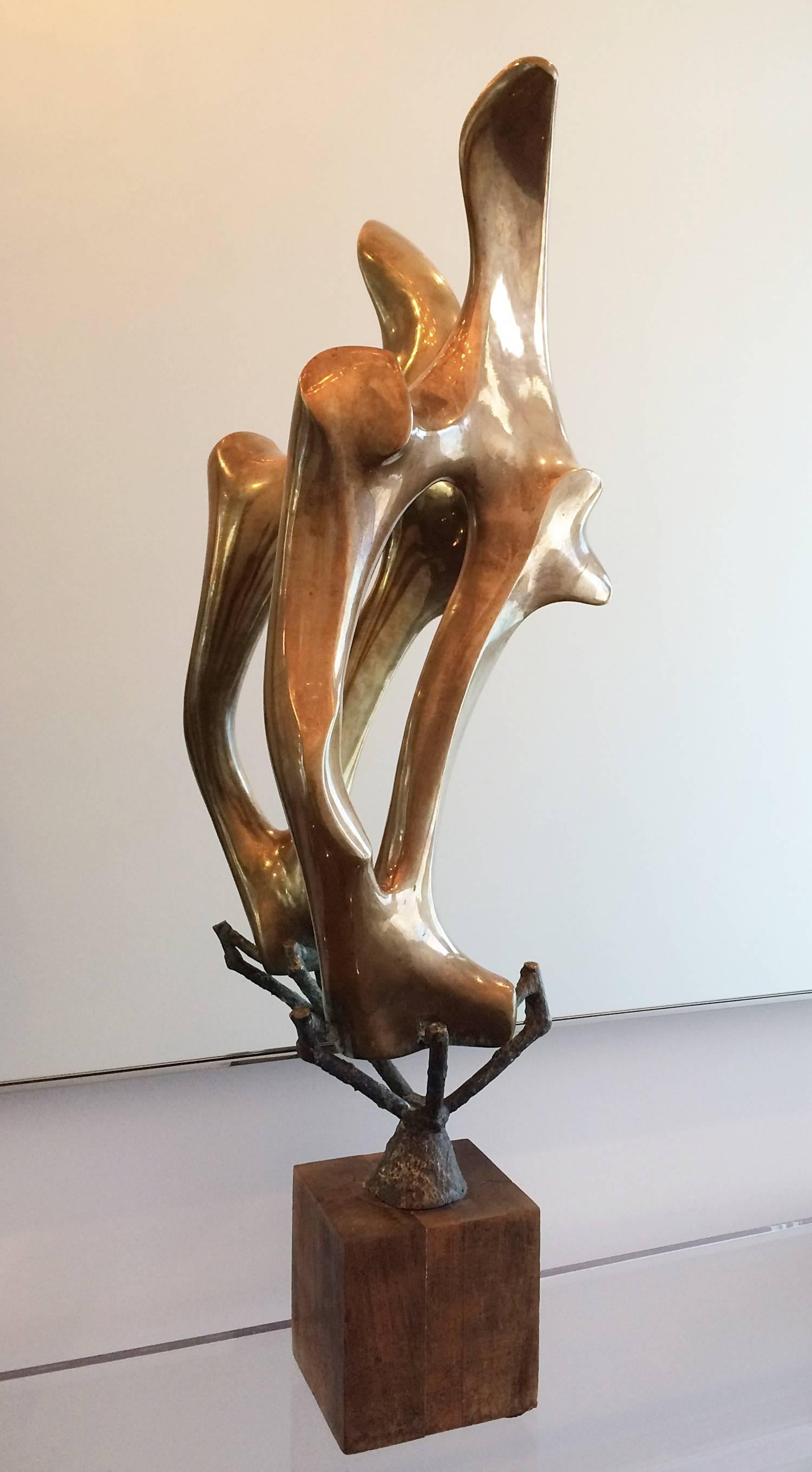 Fantastic abstract bronze sculpture be renown Italian sculptor Arturo Di Modica done in 1970.
The piece is in excellent condition, signed and dated by the artist.

The sculpture is standing in a branch like base protruding from a wooden