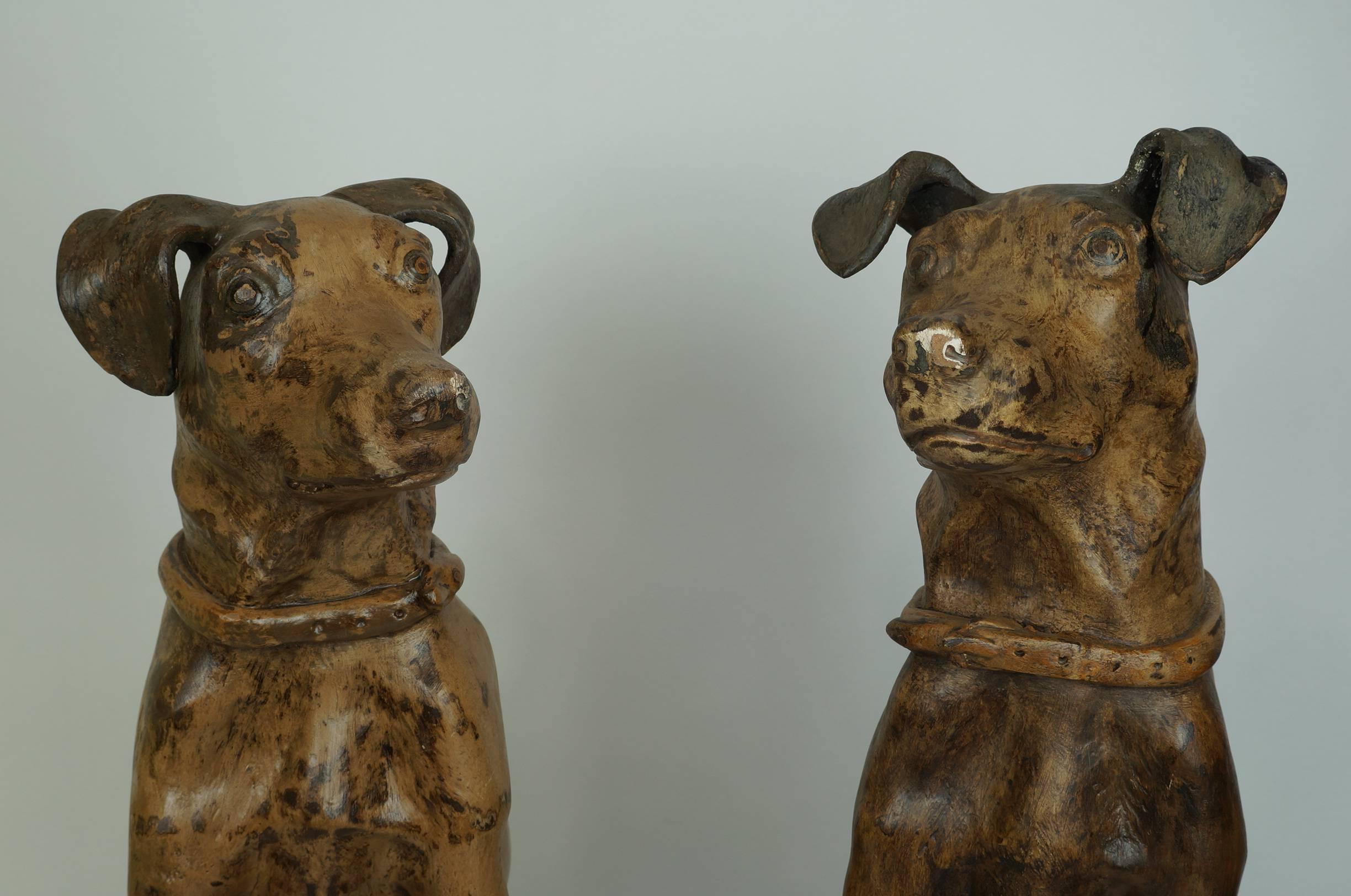Pair of Terracotta Composition Seated Dogs
Stock Number: DA196
