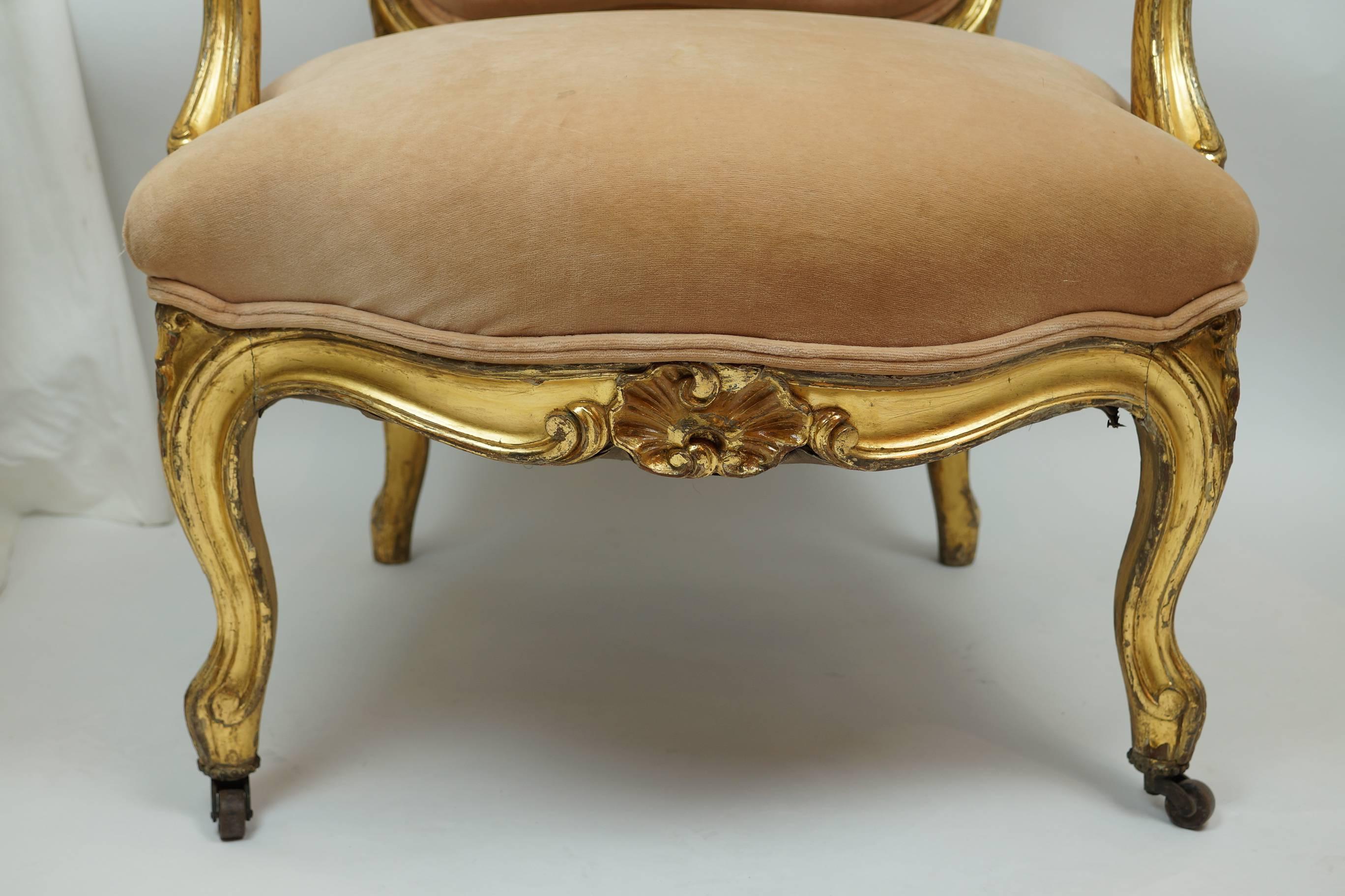 Pair of Louis XV Style Carved Giltwood Amchairs 2