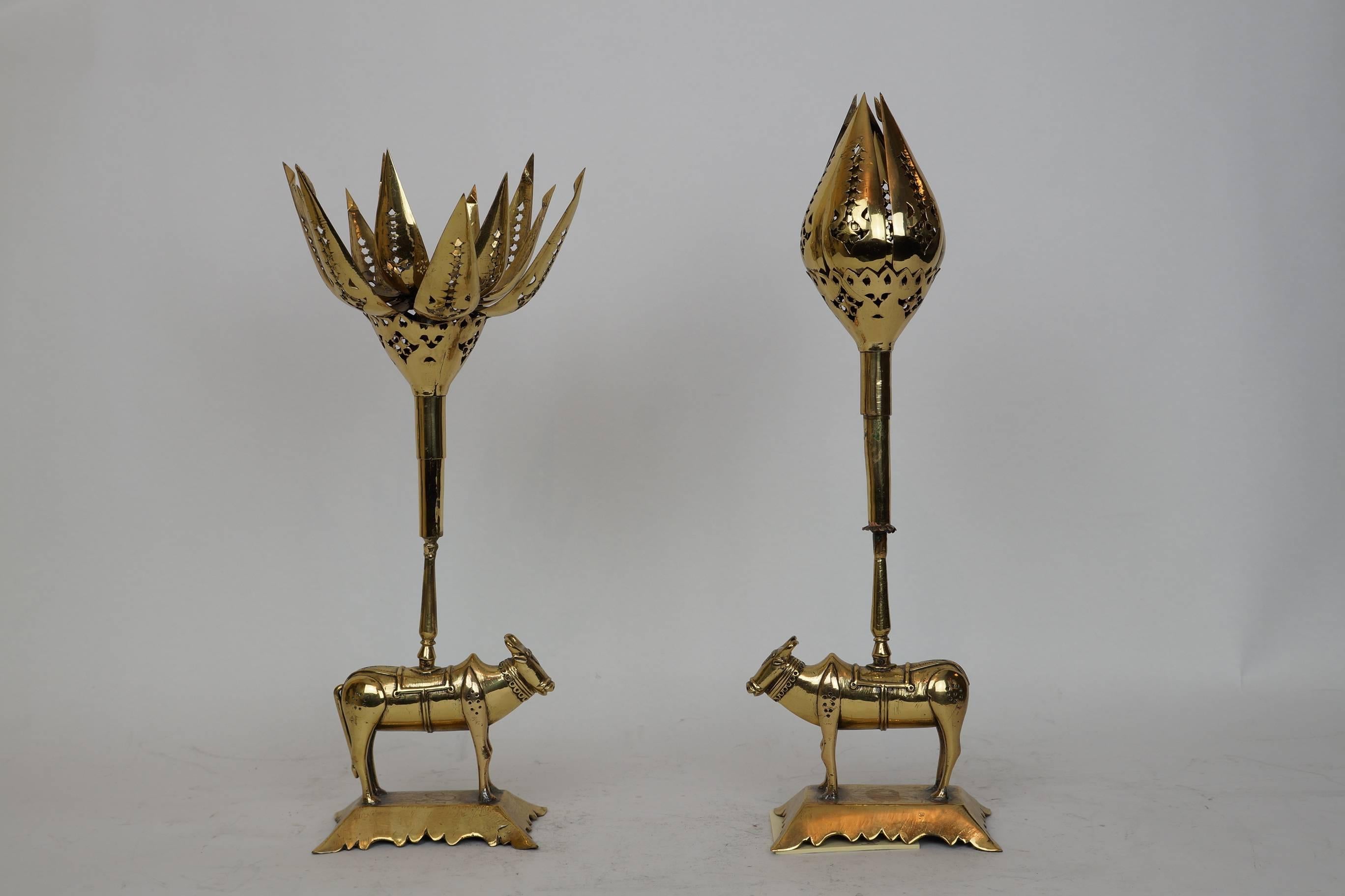 Unusual pair of tulip form brass candleholders mounted on pair of standing bulls.
Stock Number: DA145