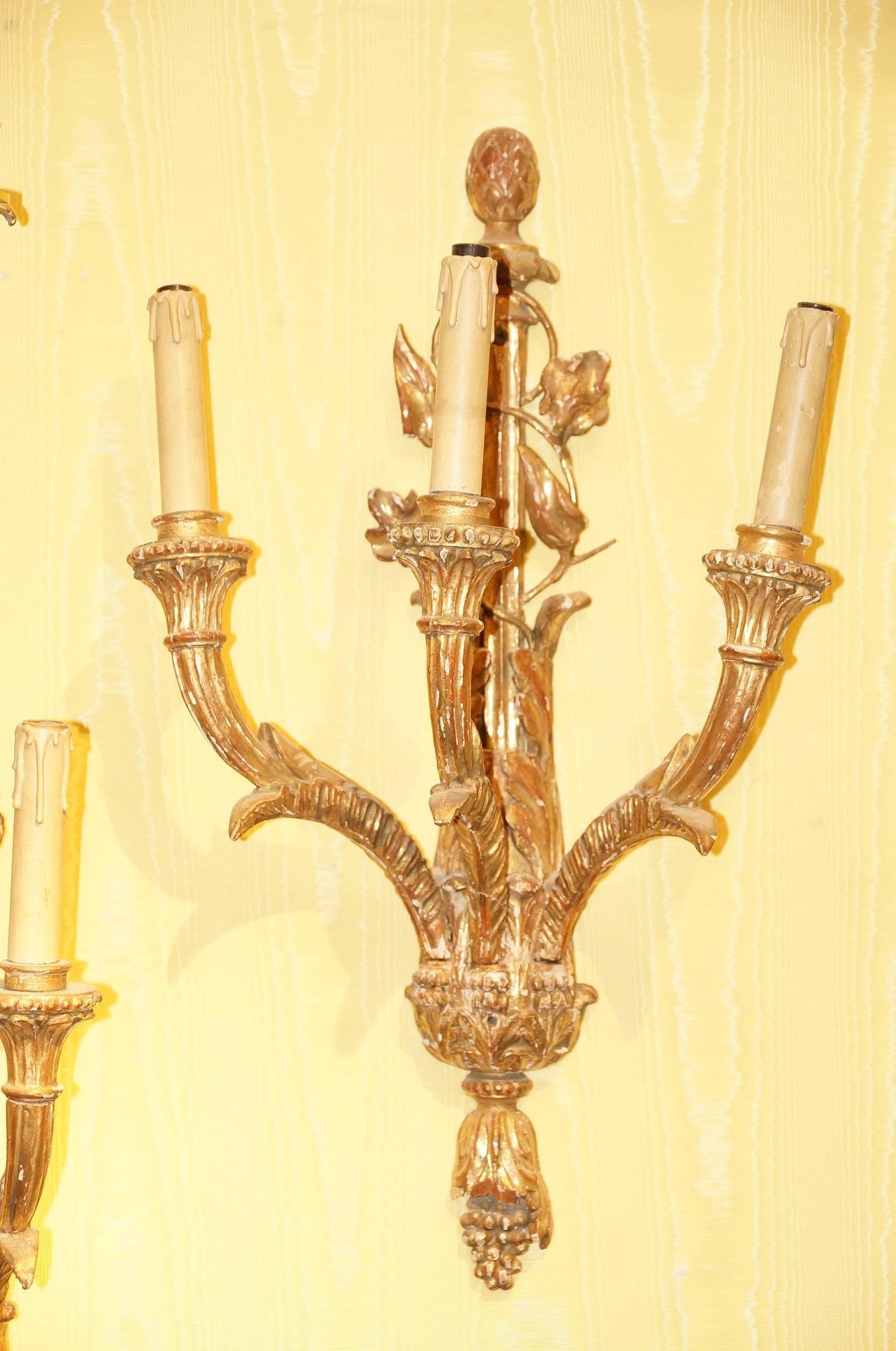 Pair of Italian giltwood and gesso sconces.