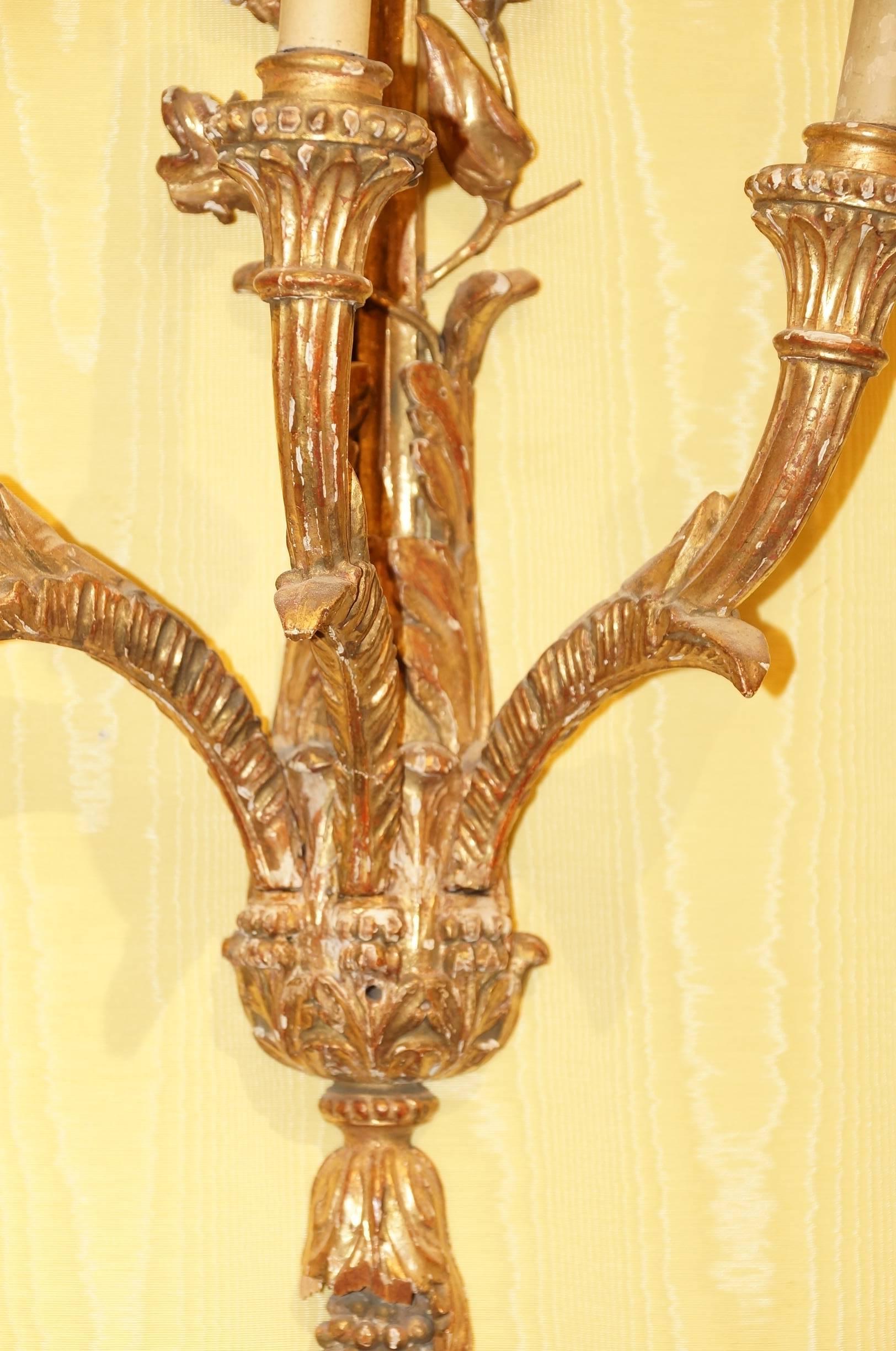 Pair of Italian Giltwood and Gesso Sconces In Fair Condition For Sale In New York, NY